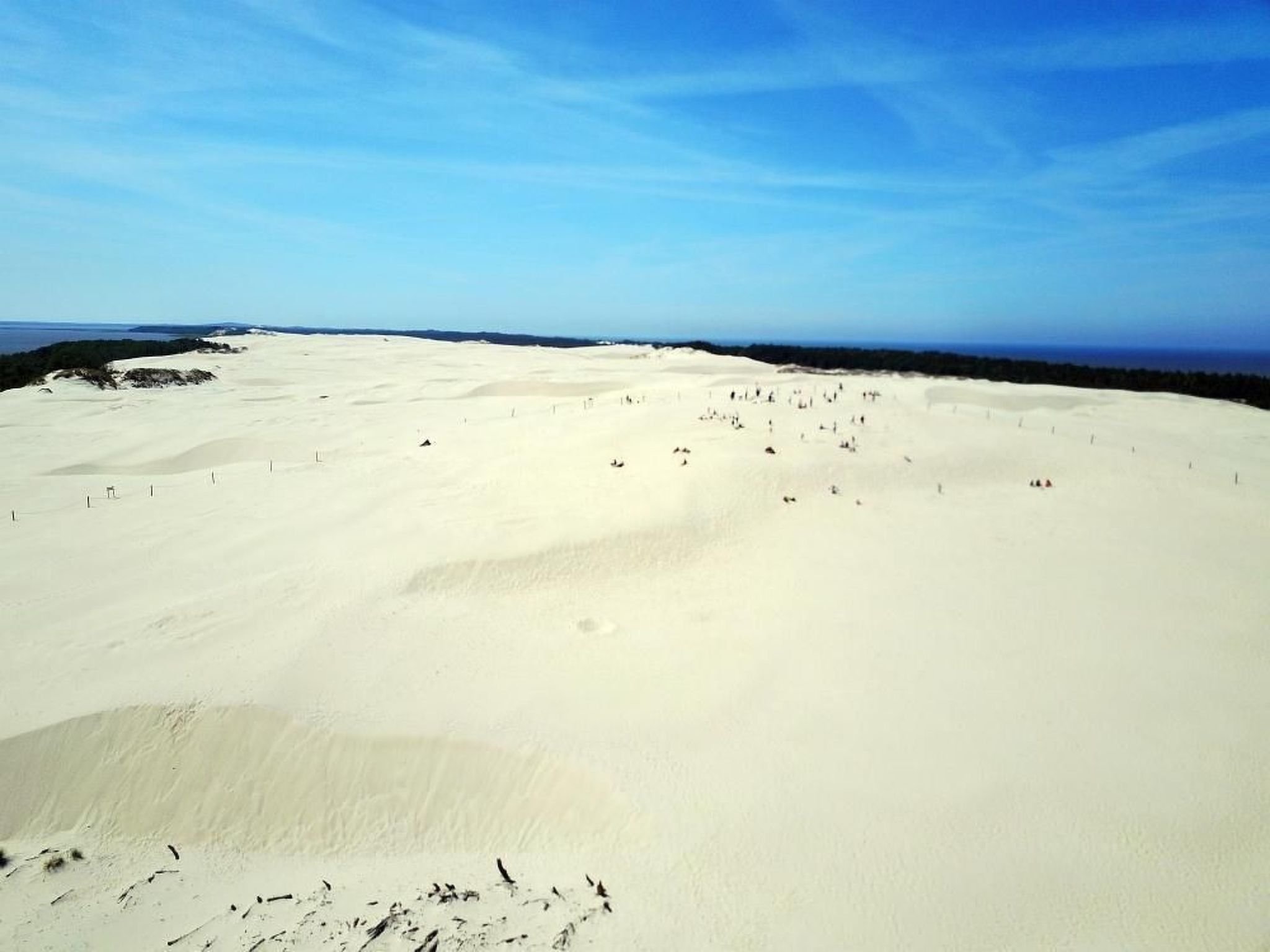 Appartement in Żarnowska mit Großem Garten-Image-tags.info