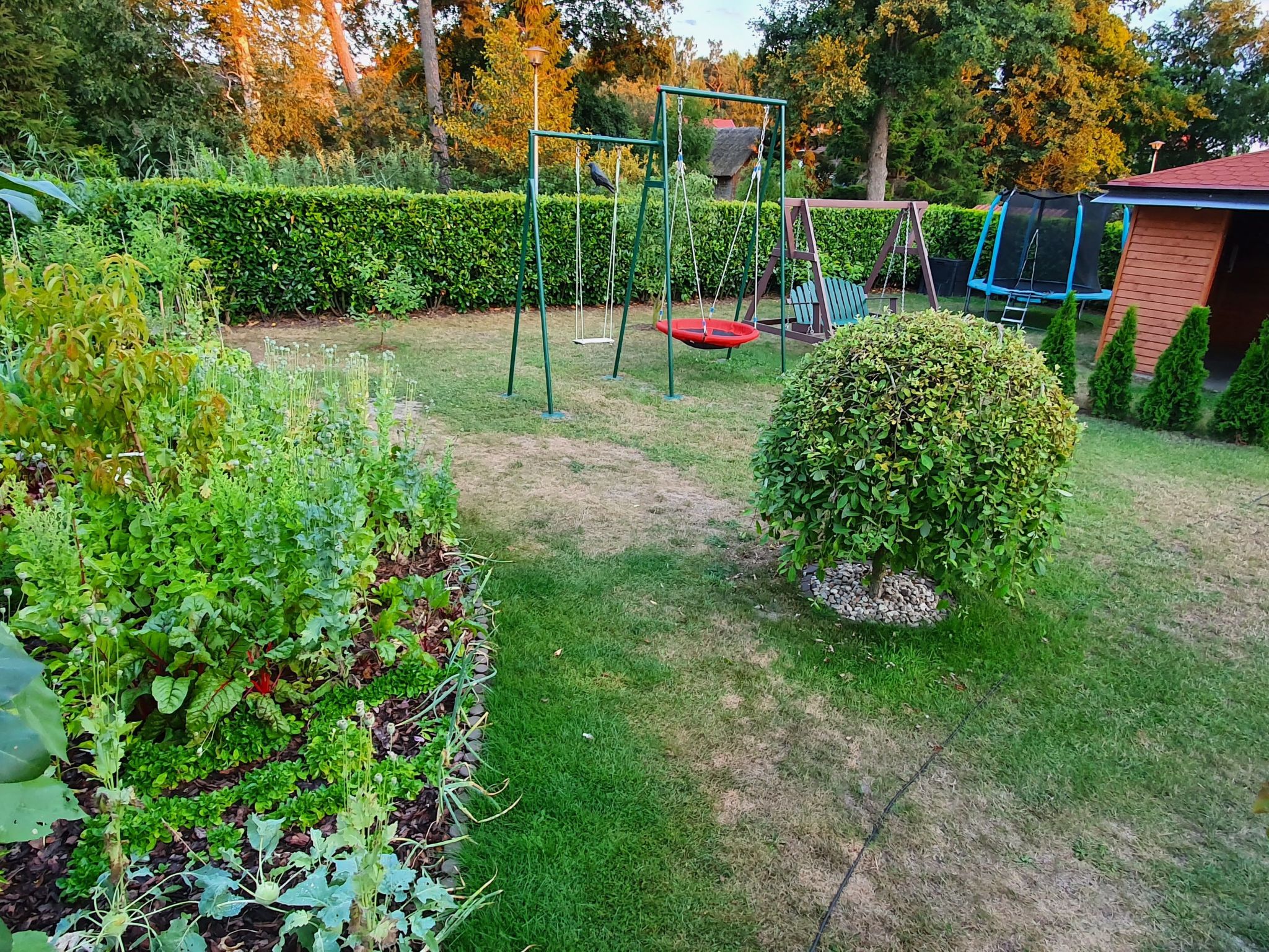 In Żarnowska mit Grill und Garten