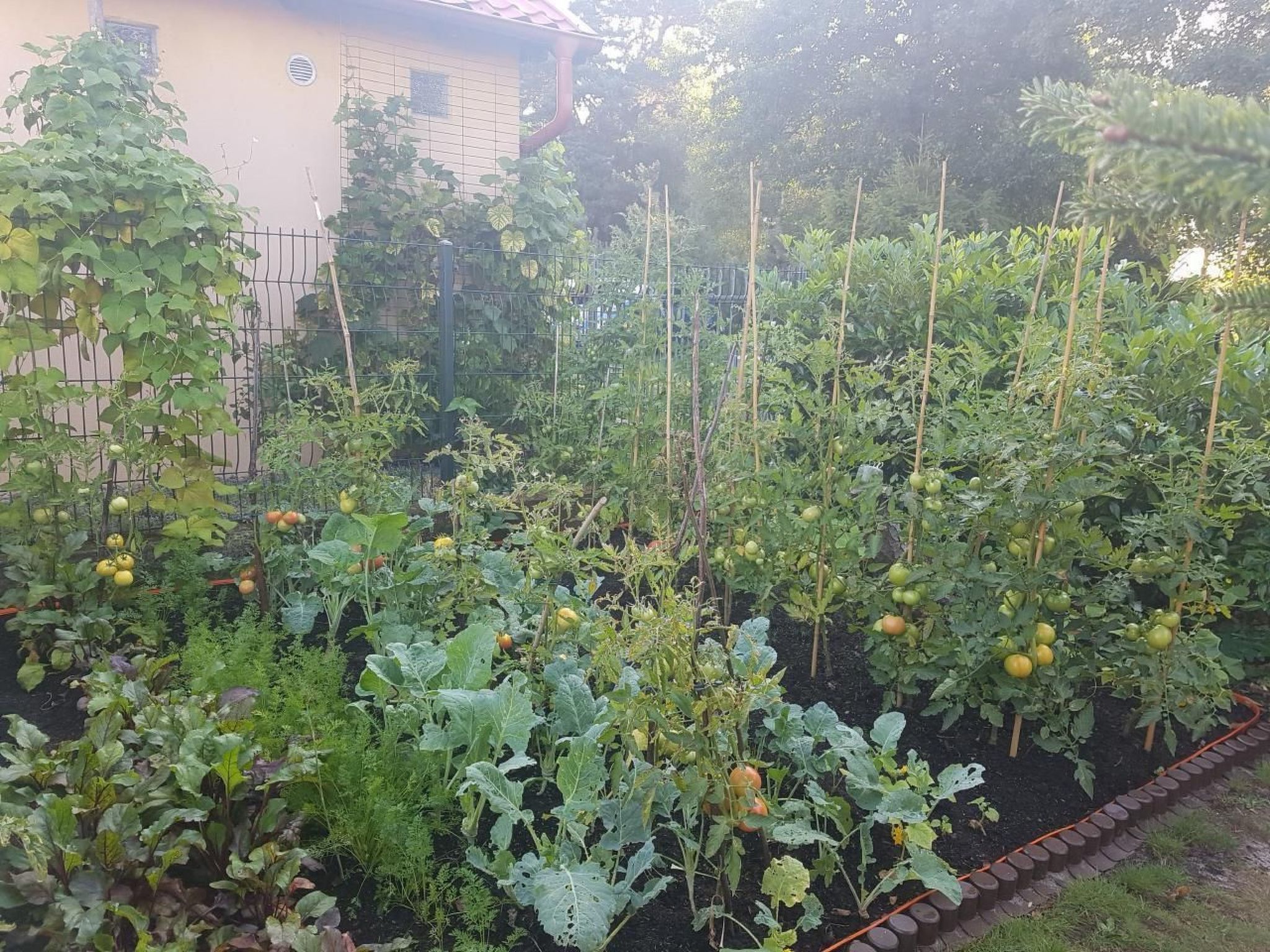 Appartement in Żarnowska mit Großem Garten-Image-tags.info