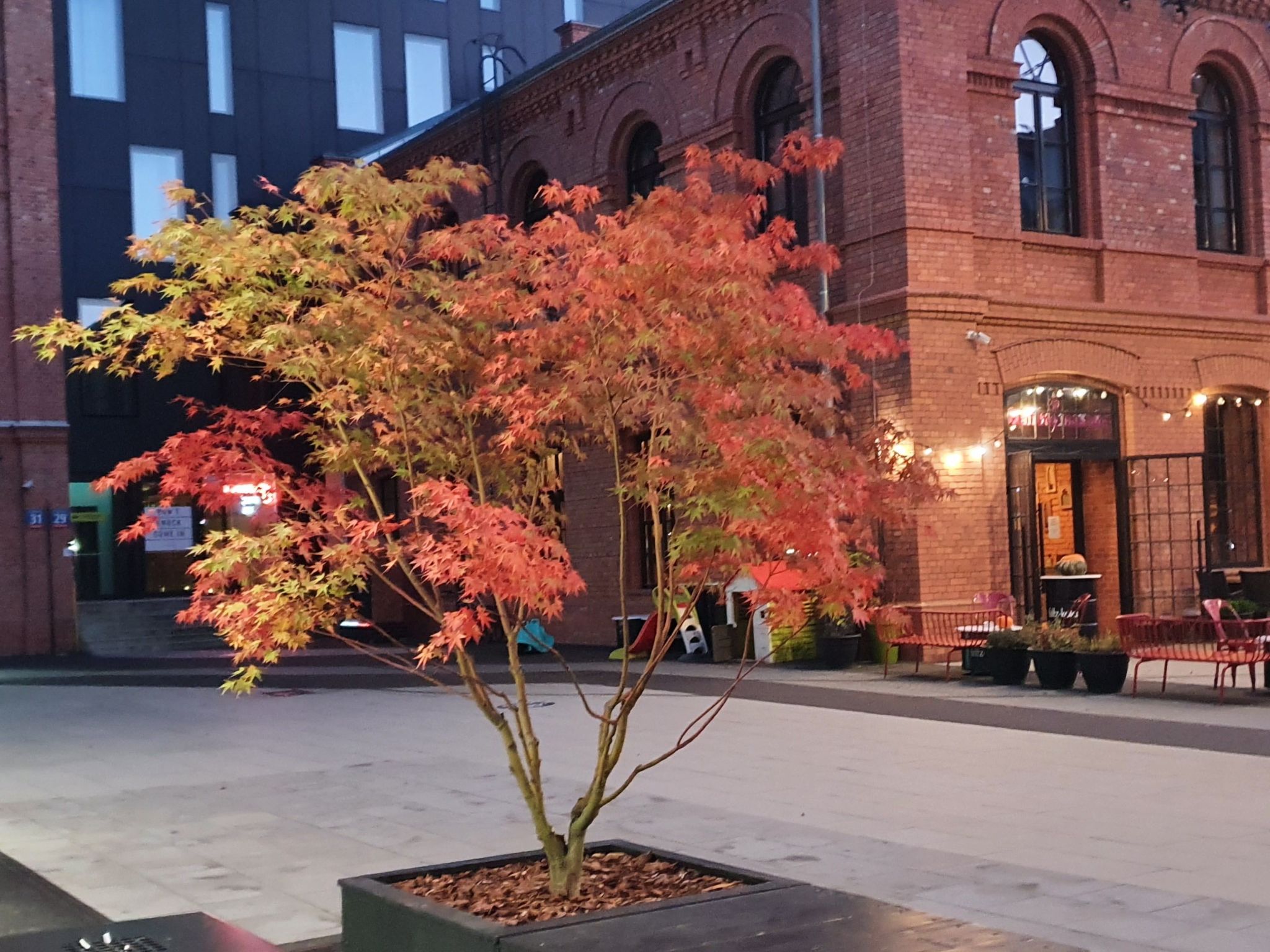 BESSERER PLATZ: Klassisches Warschau — Terrace (3 of 29)