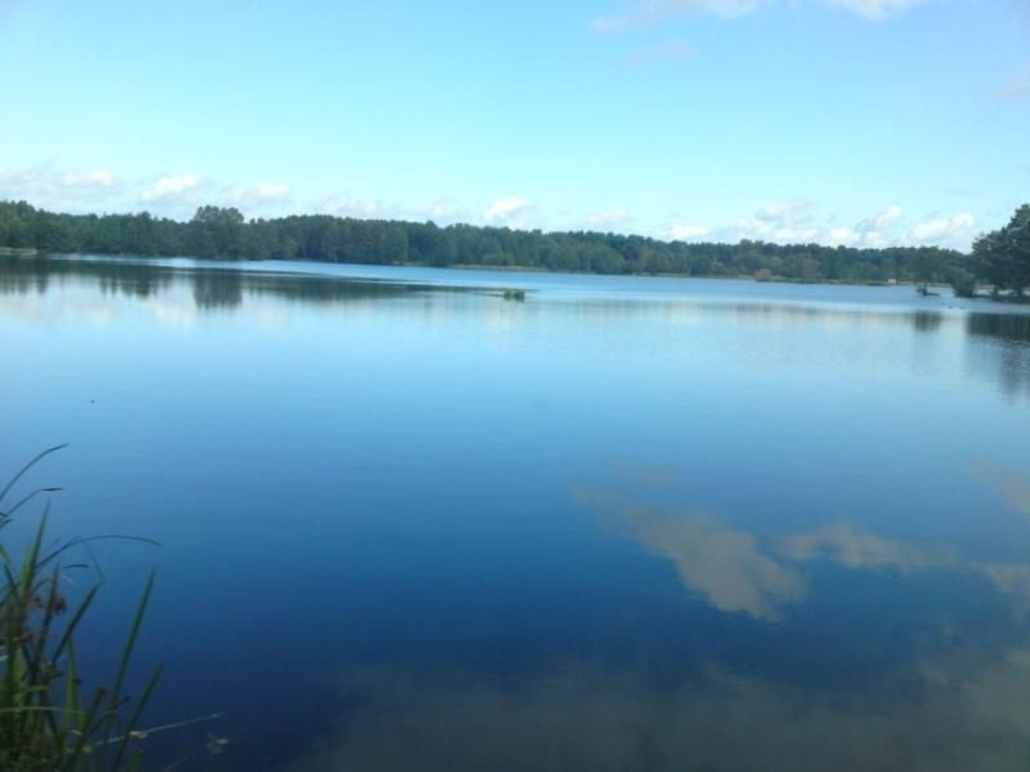 Green House - Entspannung im Schatten einer Eiche-Buiten
