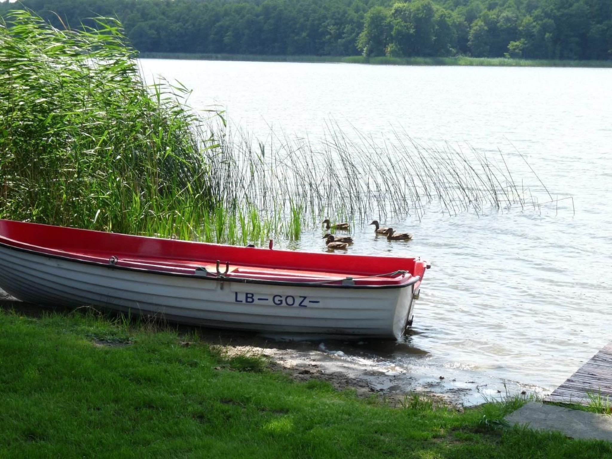 Traumurlaub am See-Binnen