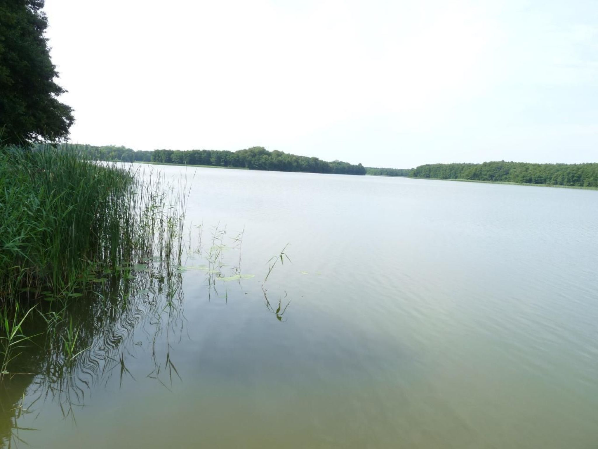 Traumurlaub am See-Binnen
