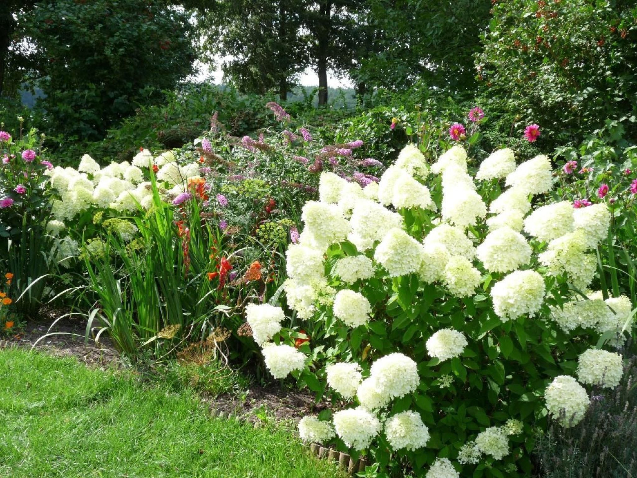Glücksurlaub am See-Binnen
