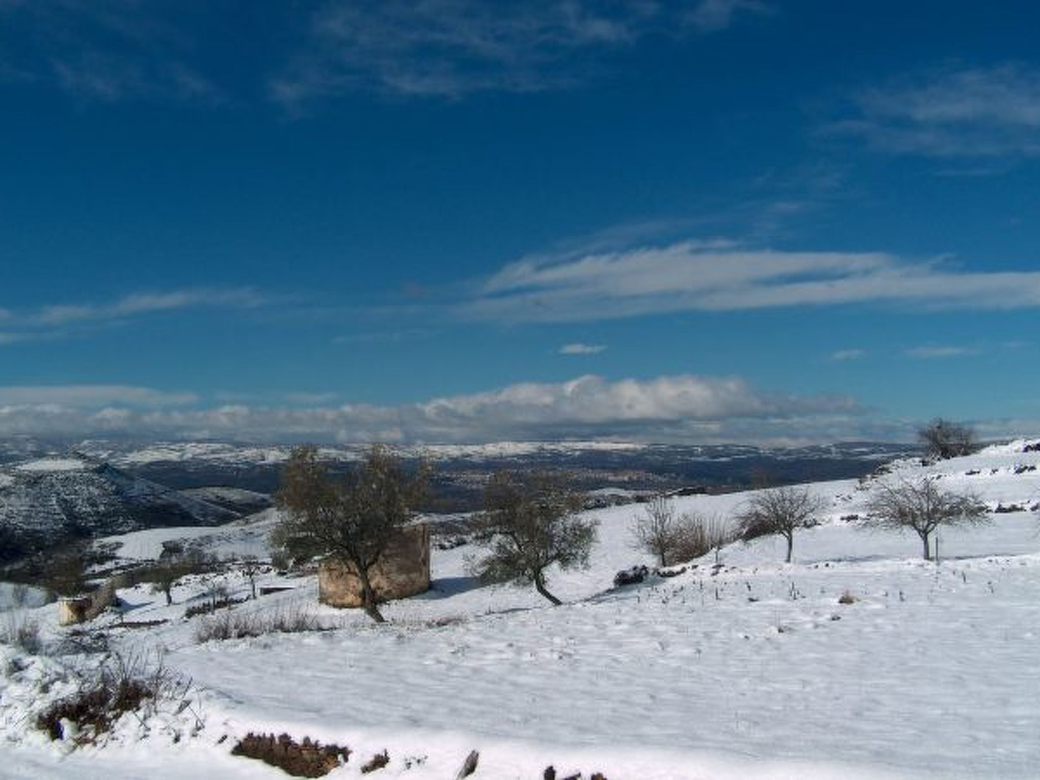 CASA LUIS GONZAGA - UNI. COIMBRA by VACATIONY - Image 4