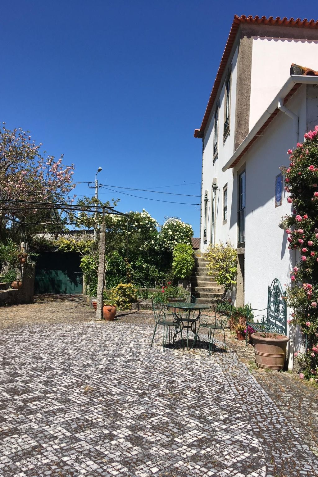 Villa mit rustikalem Charme in Afife - Buiten