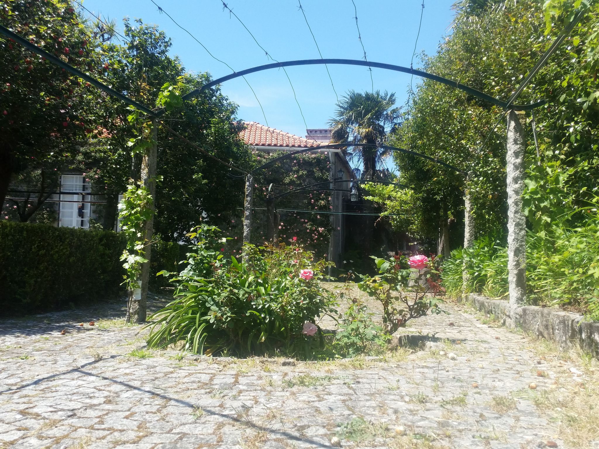 Villa mit rustikalem Charme in Afife - Buiten