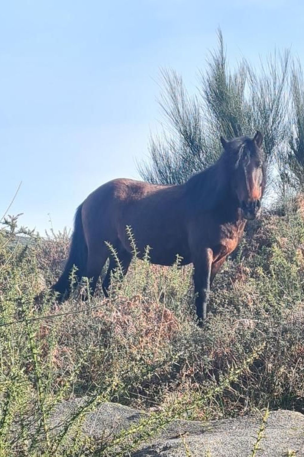 Haus am Flussufer-Dehors