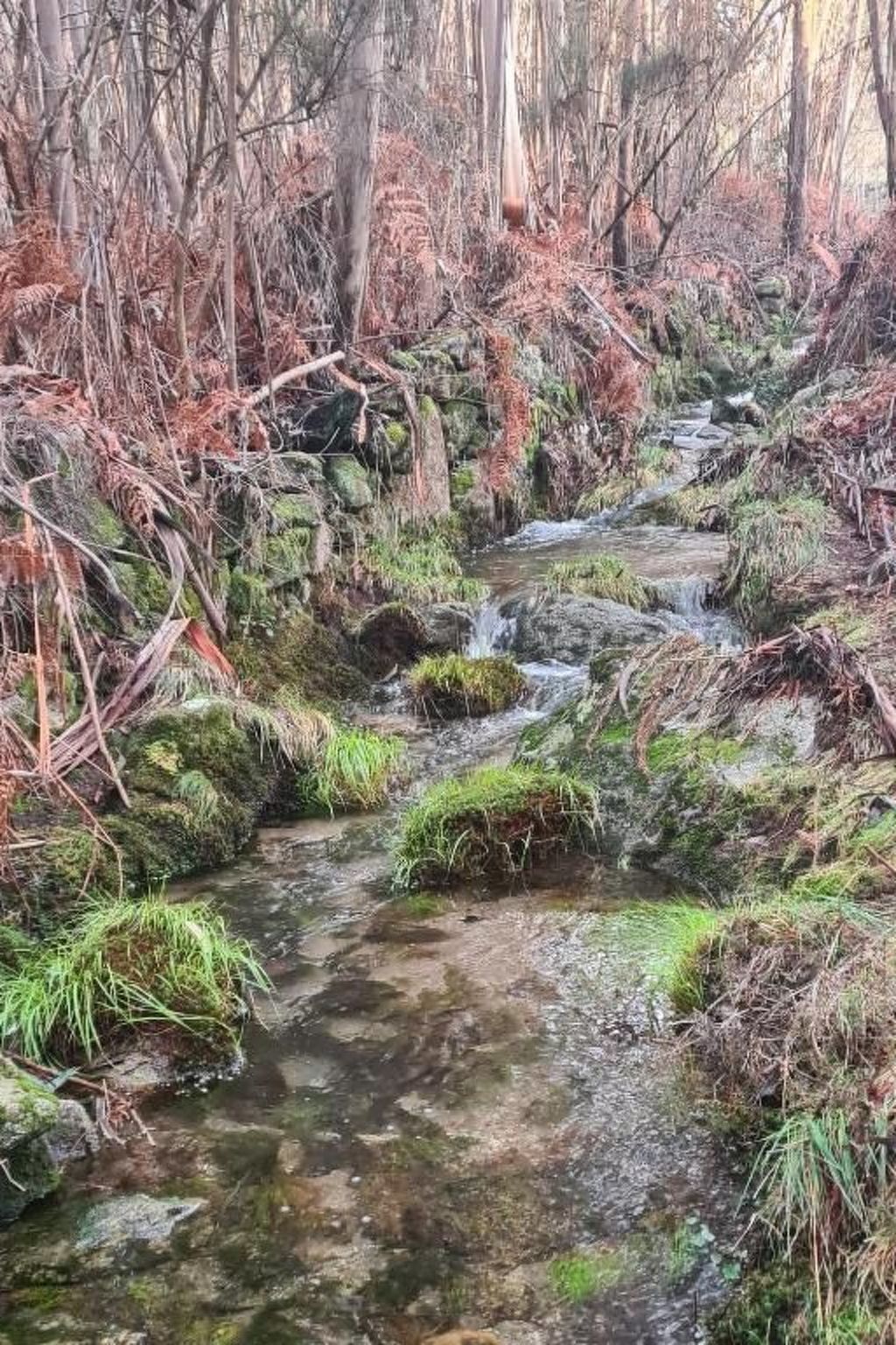 Haus am Flussufer-Dehors