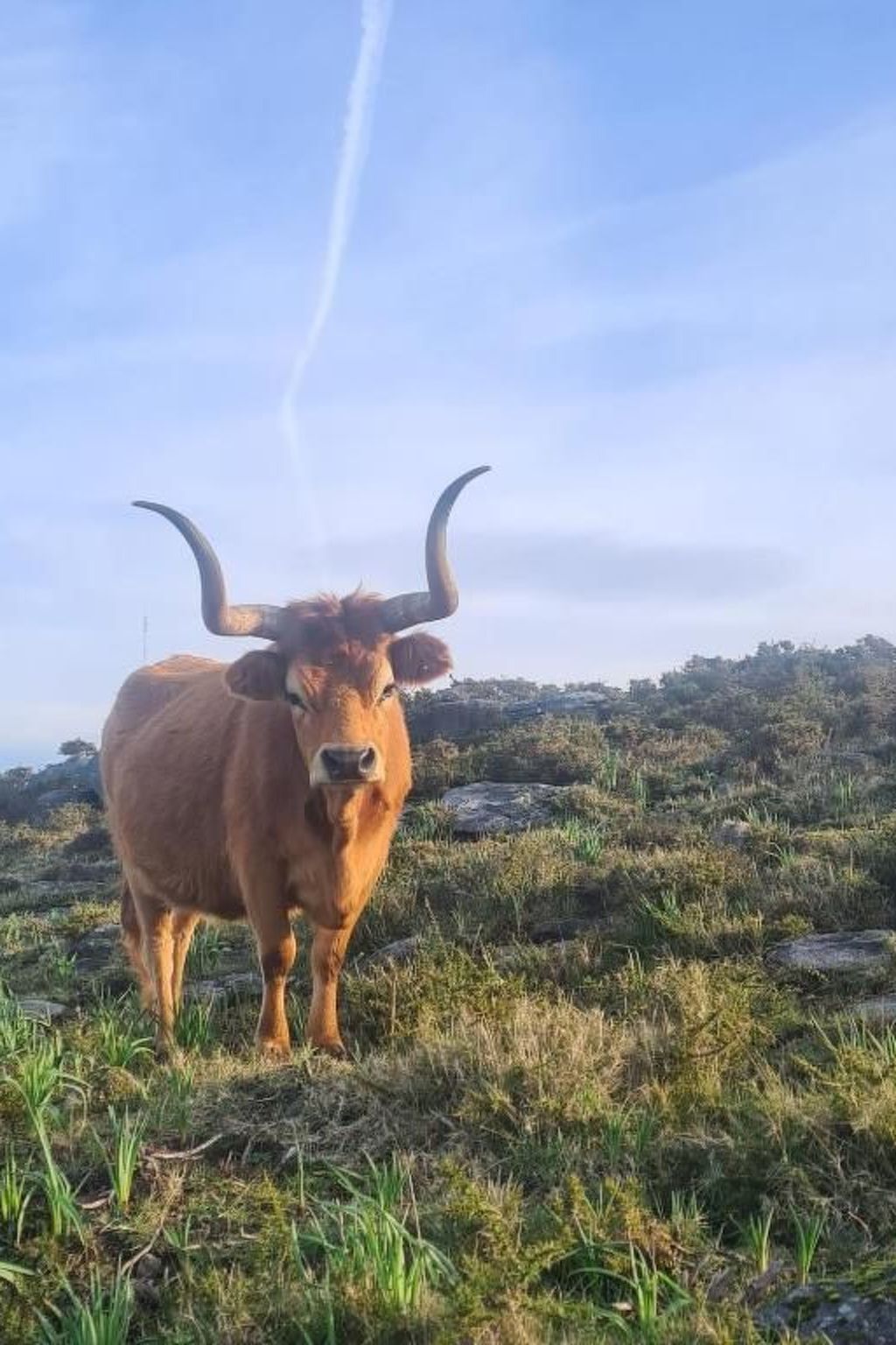 Haus am Flussufer-Image-tags.info