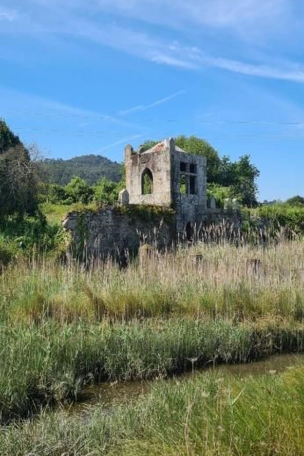 Haus am Flussufer-Image-tags.info