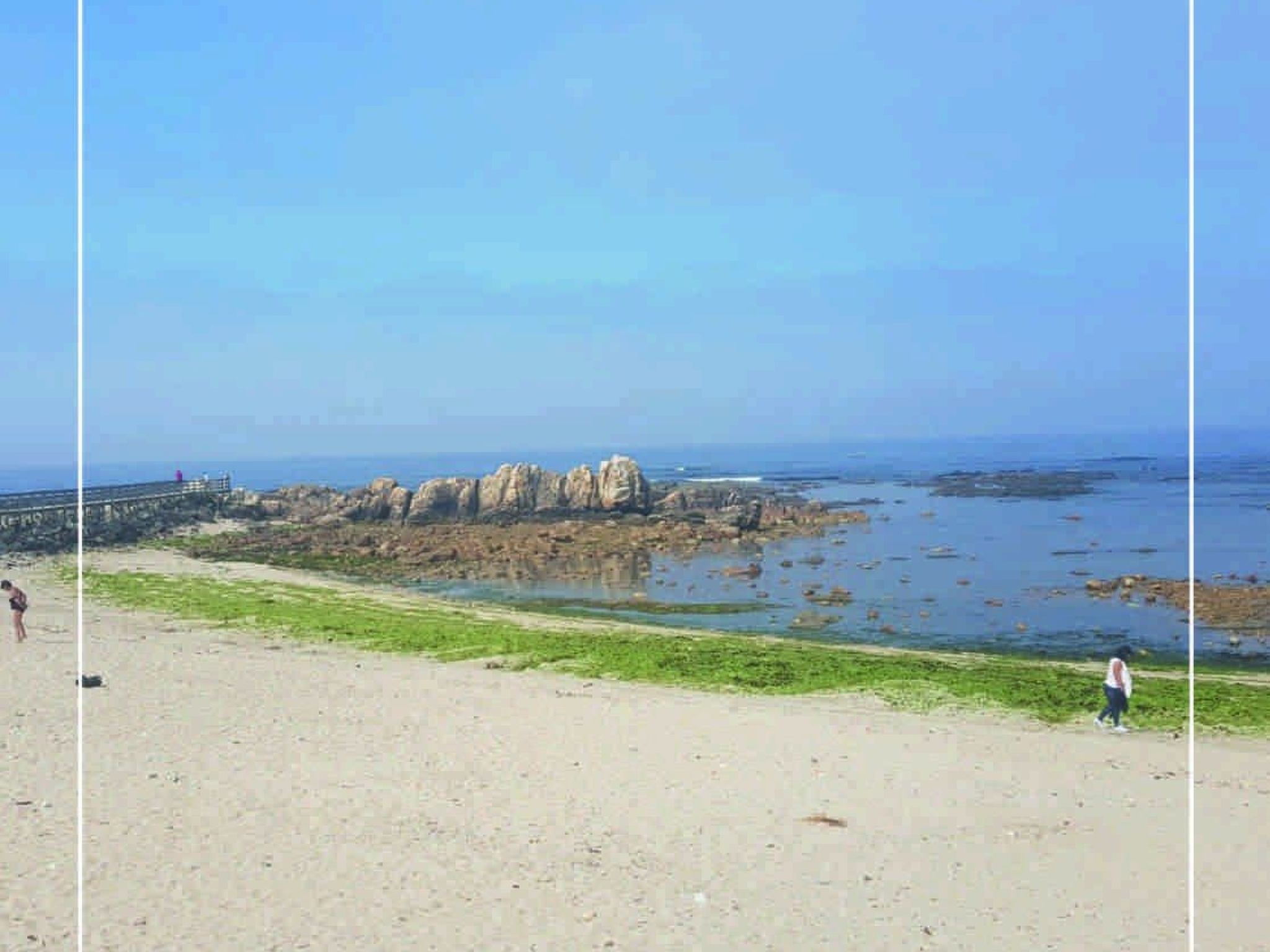 Haus der Kamelien-Dehors