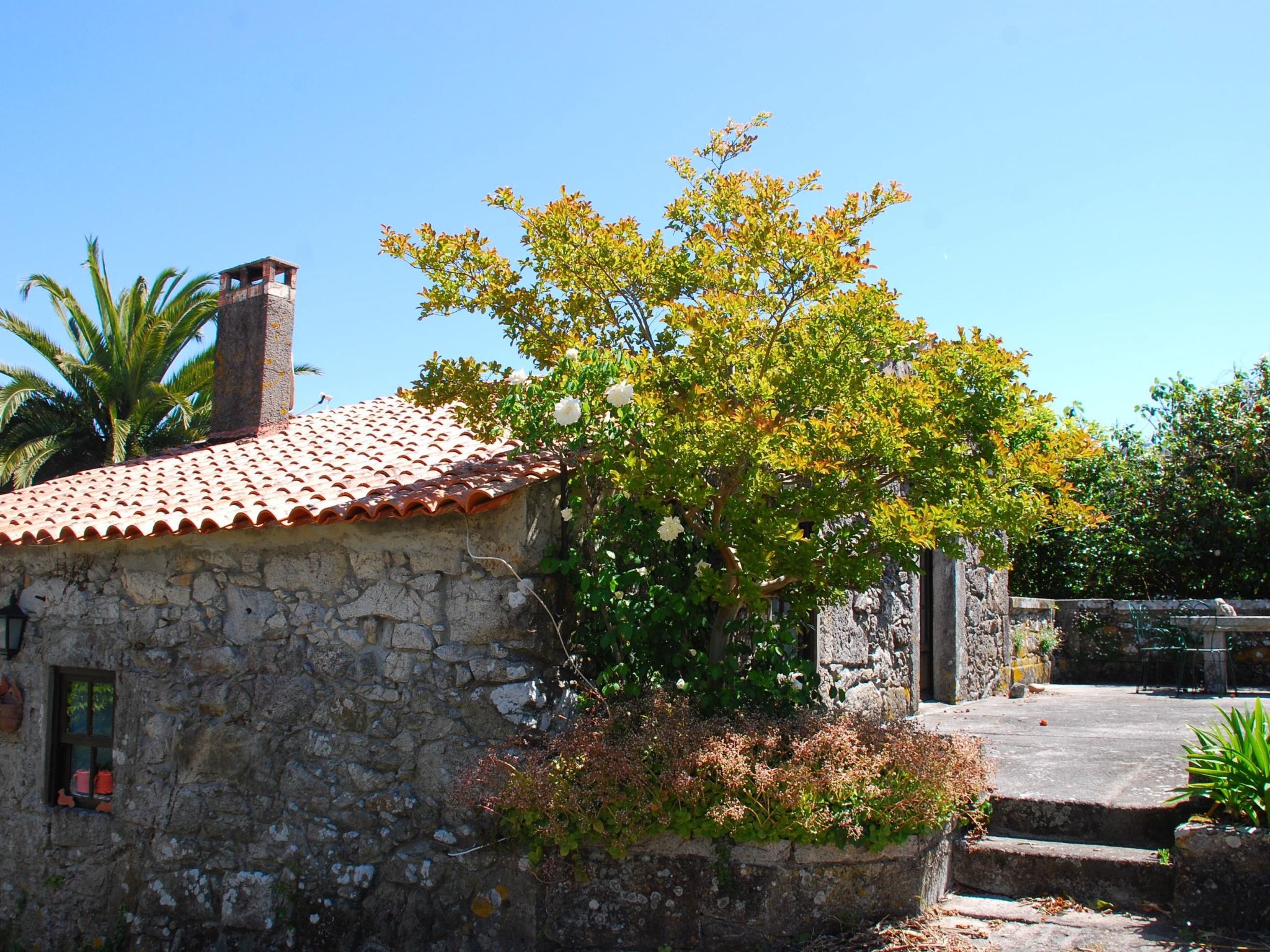 Kleines Ferienhaus mit Terrasse und Parkplatz - Draußen
