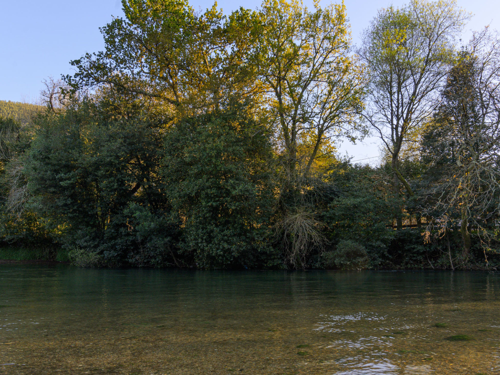 Holiday Rental Accommodation