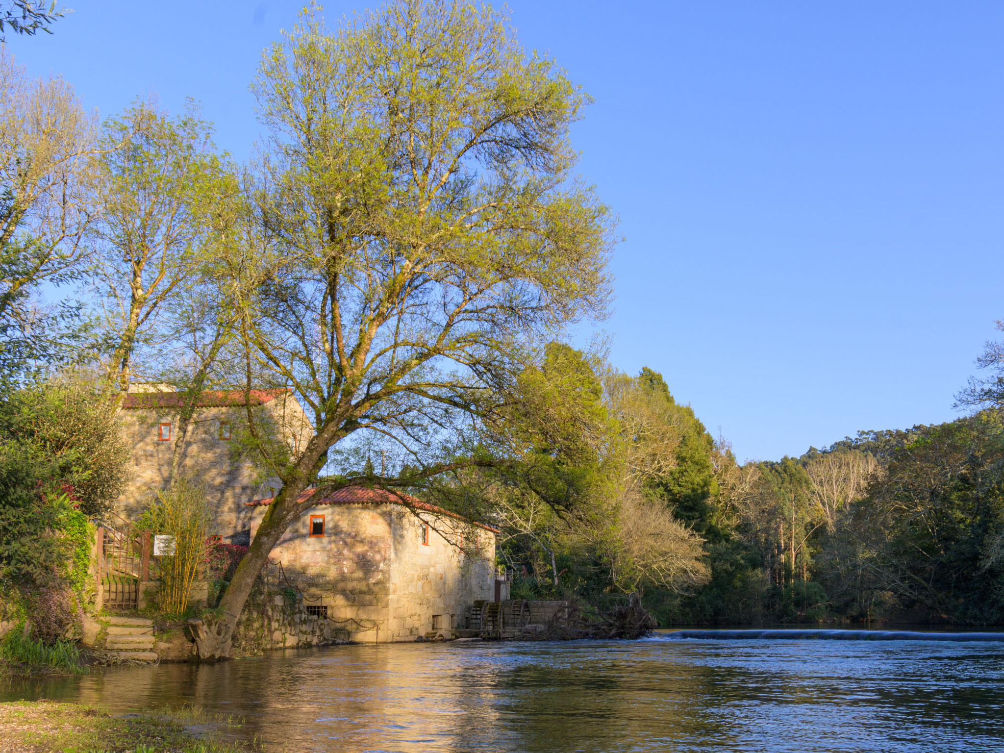 Holiday Rental Accommodation