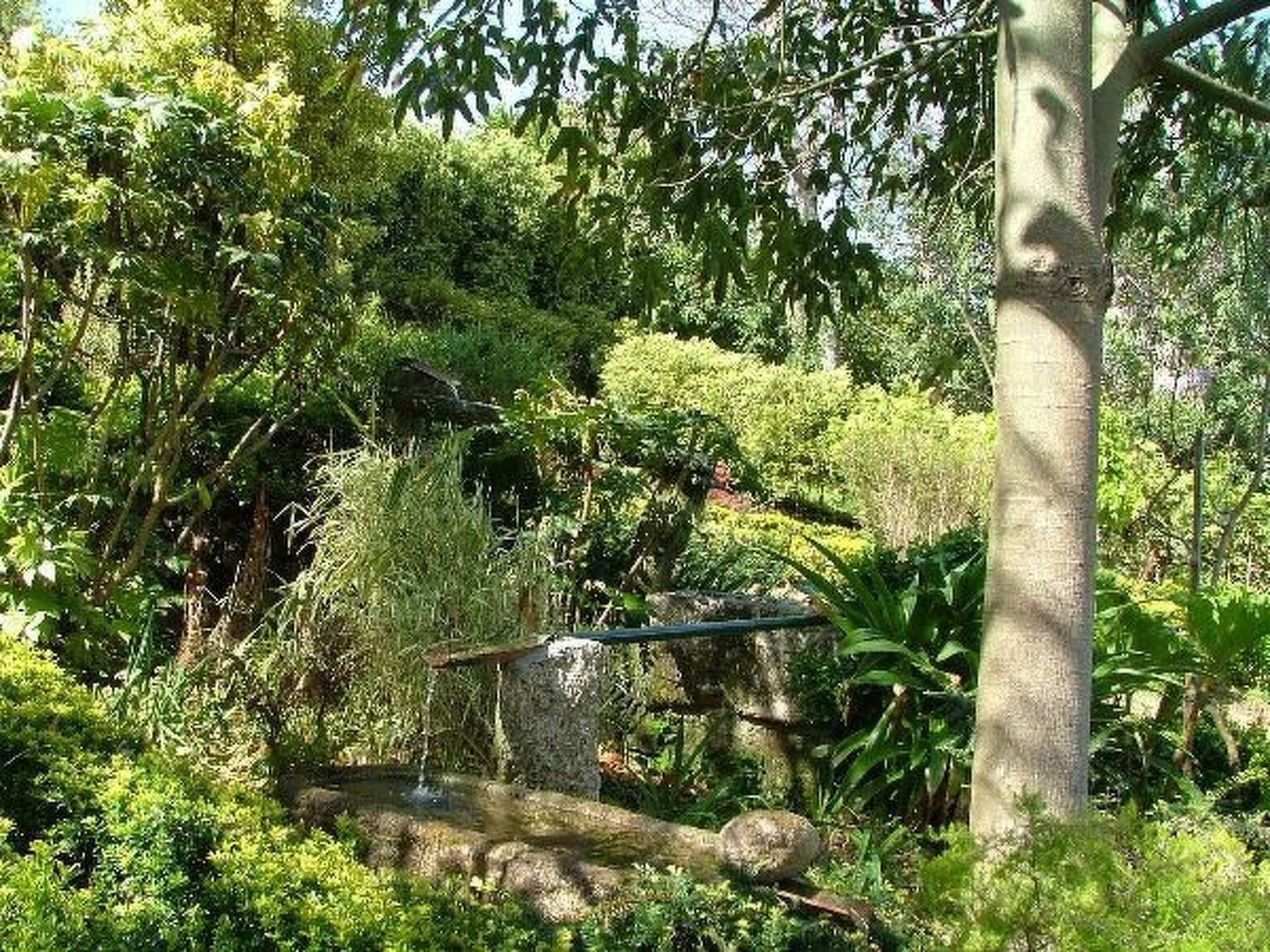 Finca "Quinta do Bento Novo"-Binnen