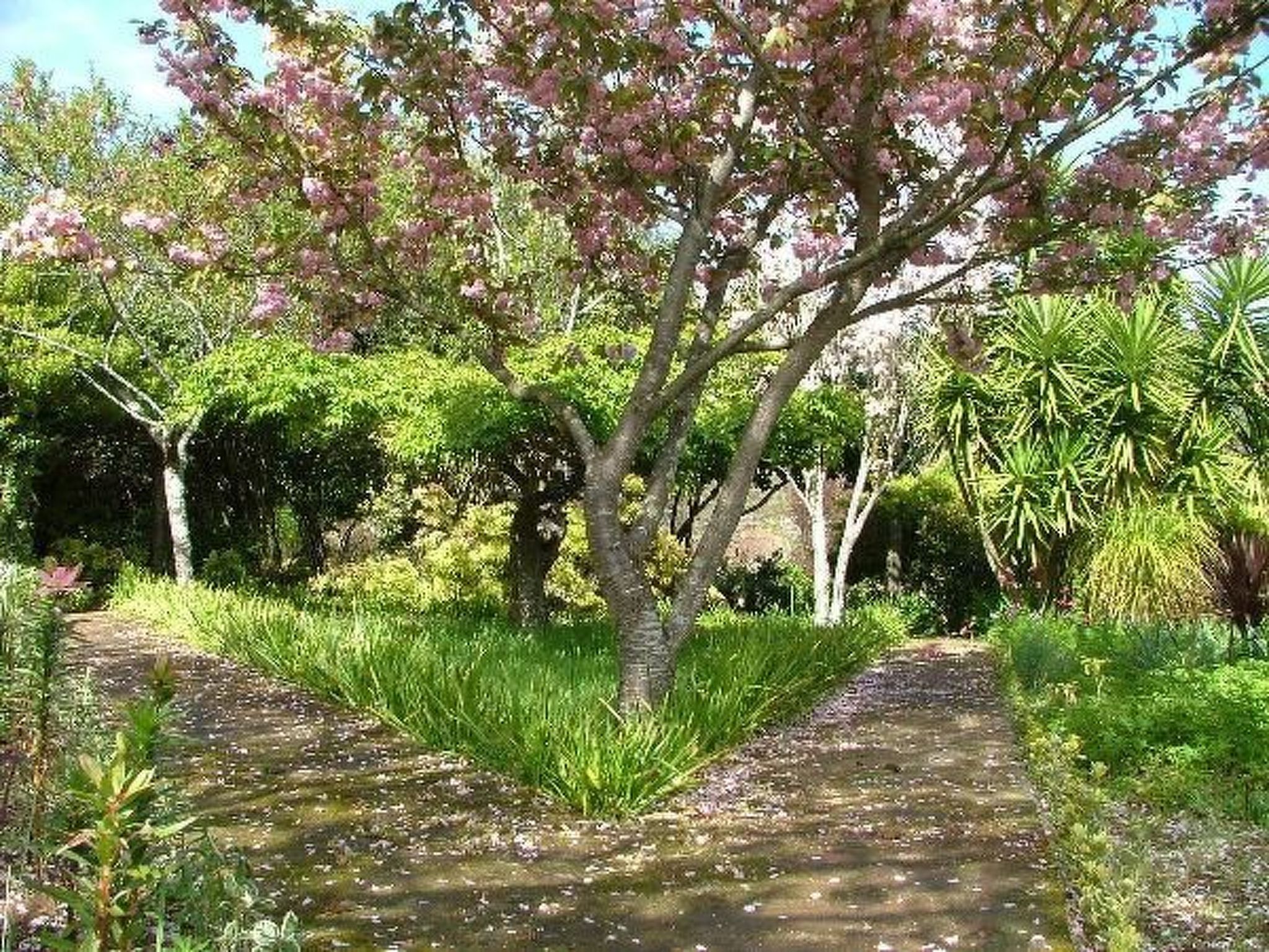 Finca "Quinta do Bento Novo"-Binnen