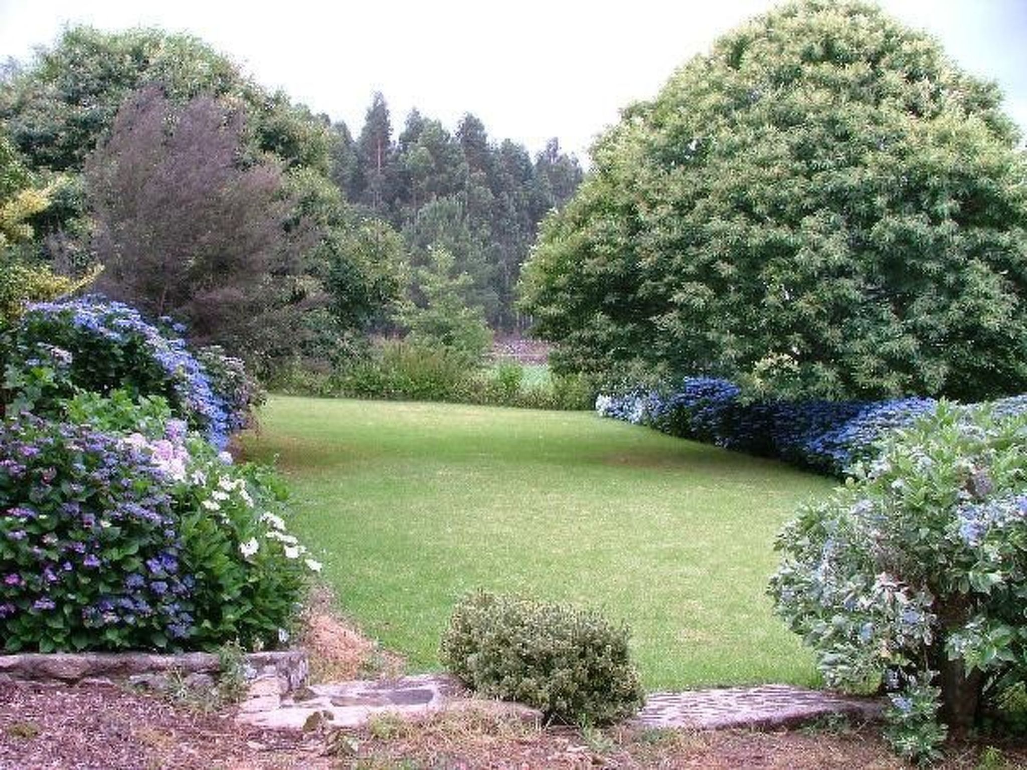 Finca "Quinta do Bento Novo"-Binnen