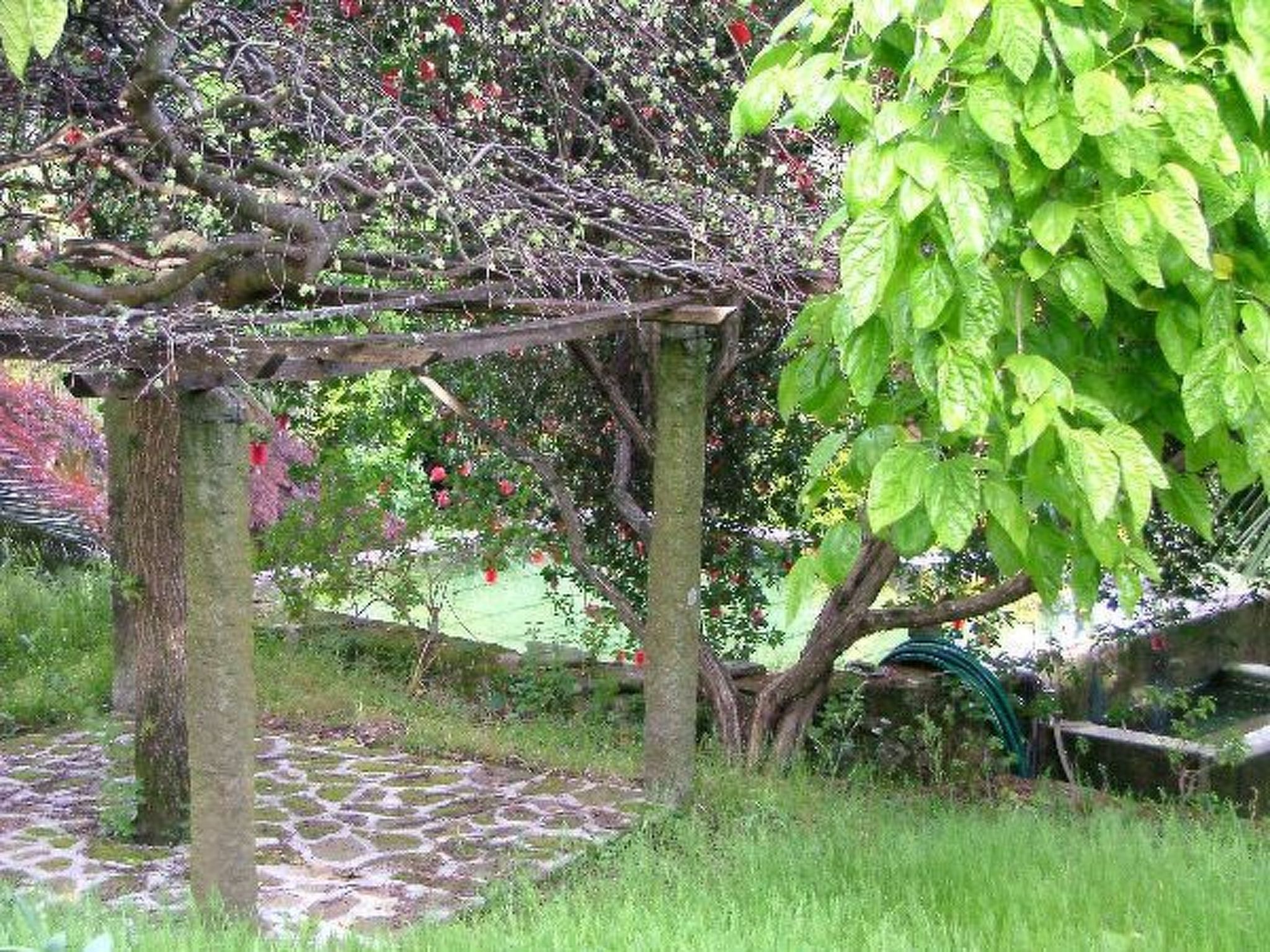 Finca "Quinta do Bento Novo"-Binnen