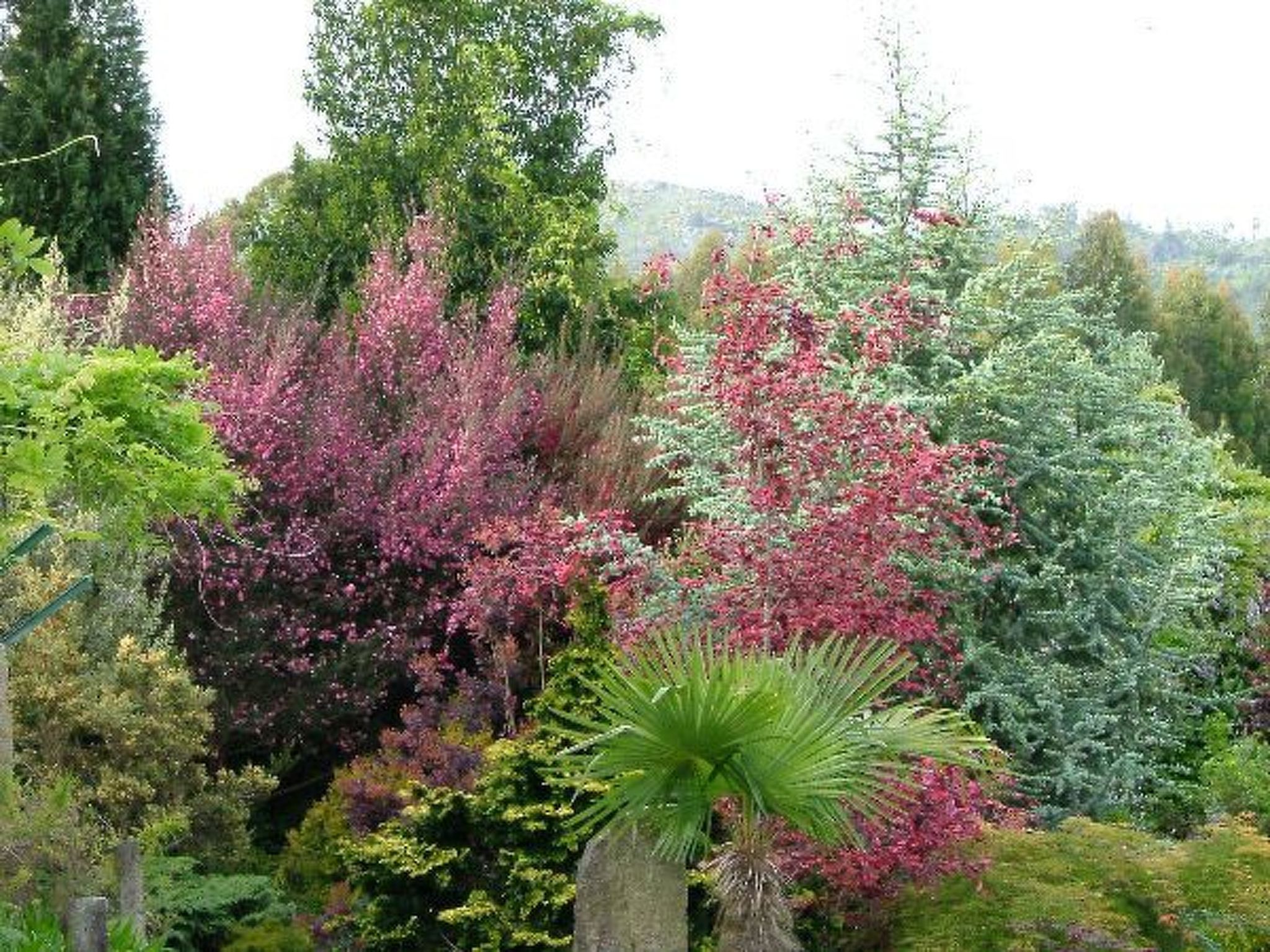 Finca "Quinta do Bento Novo"-Binnen