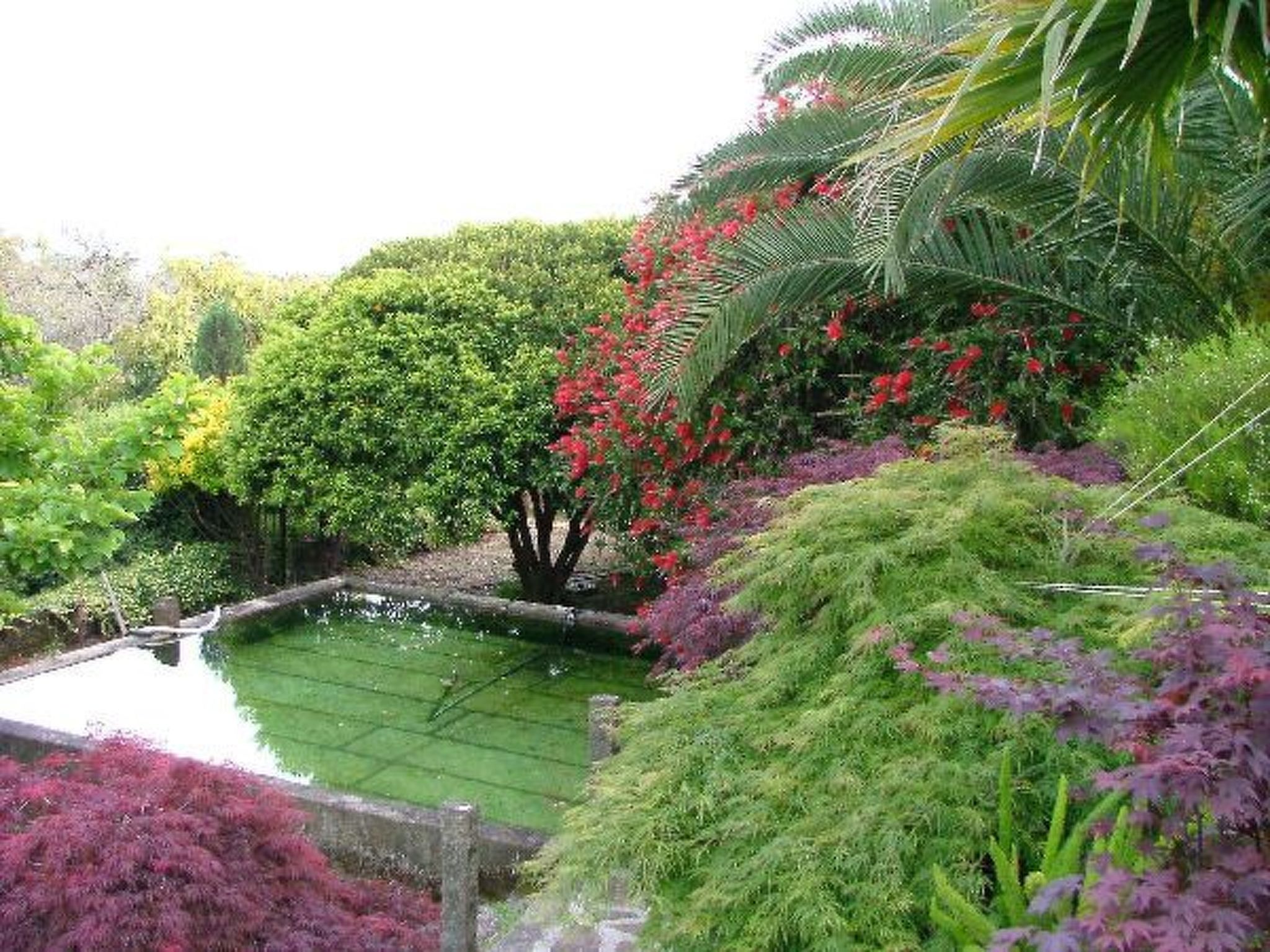 Finca "Quinta do Bento Novo"-Binnen