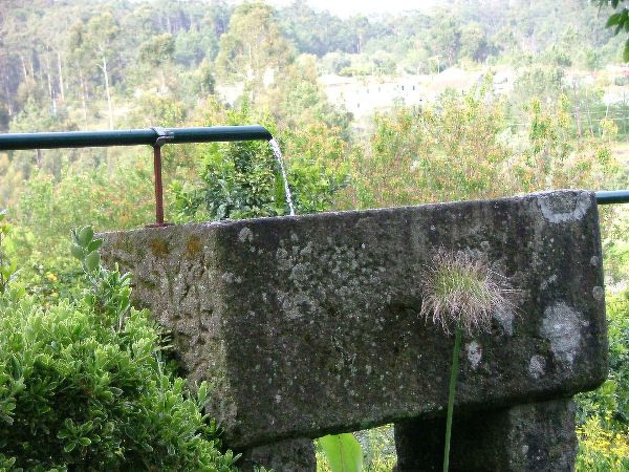 Finca "Quinta do Bento Novo"-Binnen