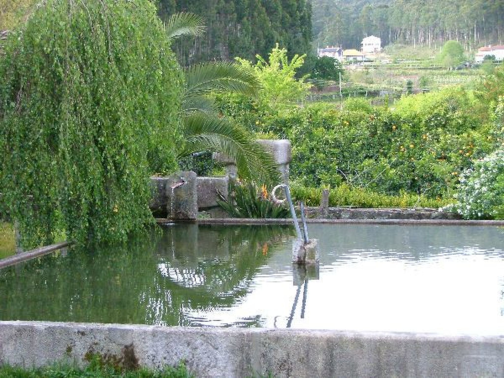 Finca "Quinta do Bento Novo"-Binnen