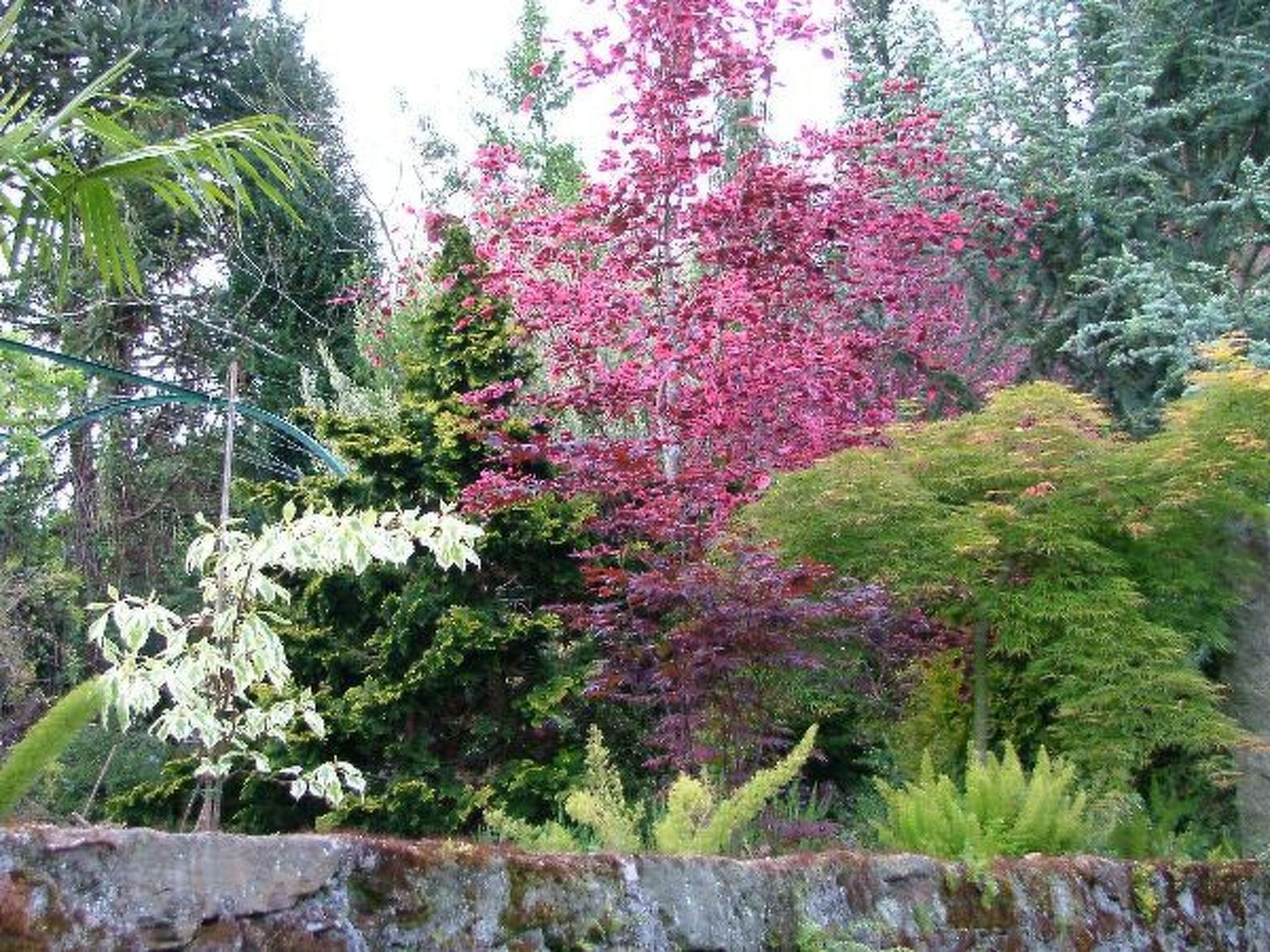 Finca "Quinta do Bento Novo"-Binnen