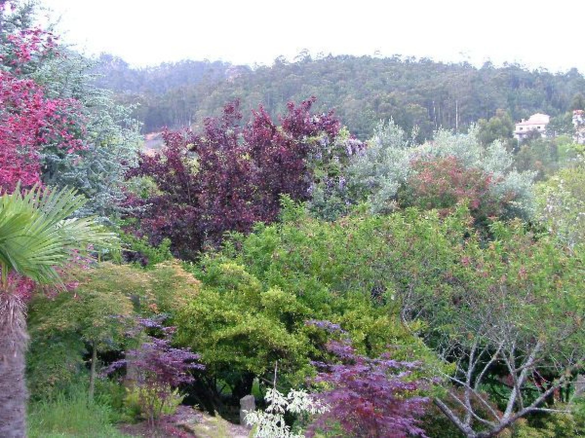 Finca "Quinta do Bento Novo"