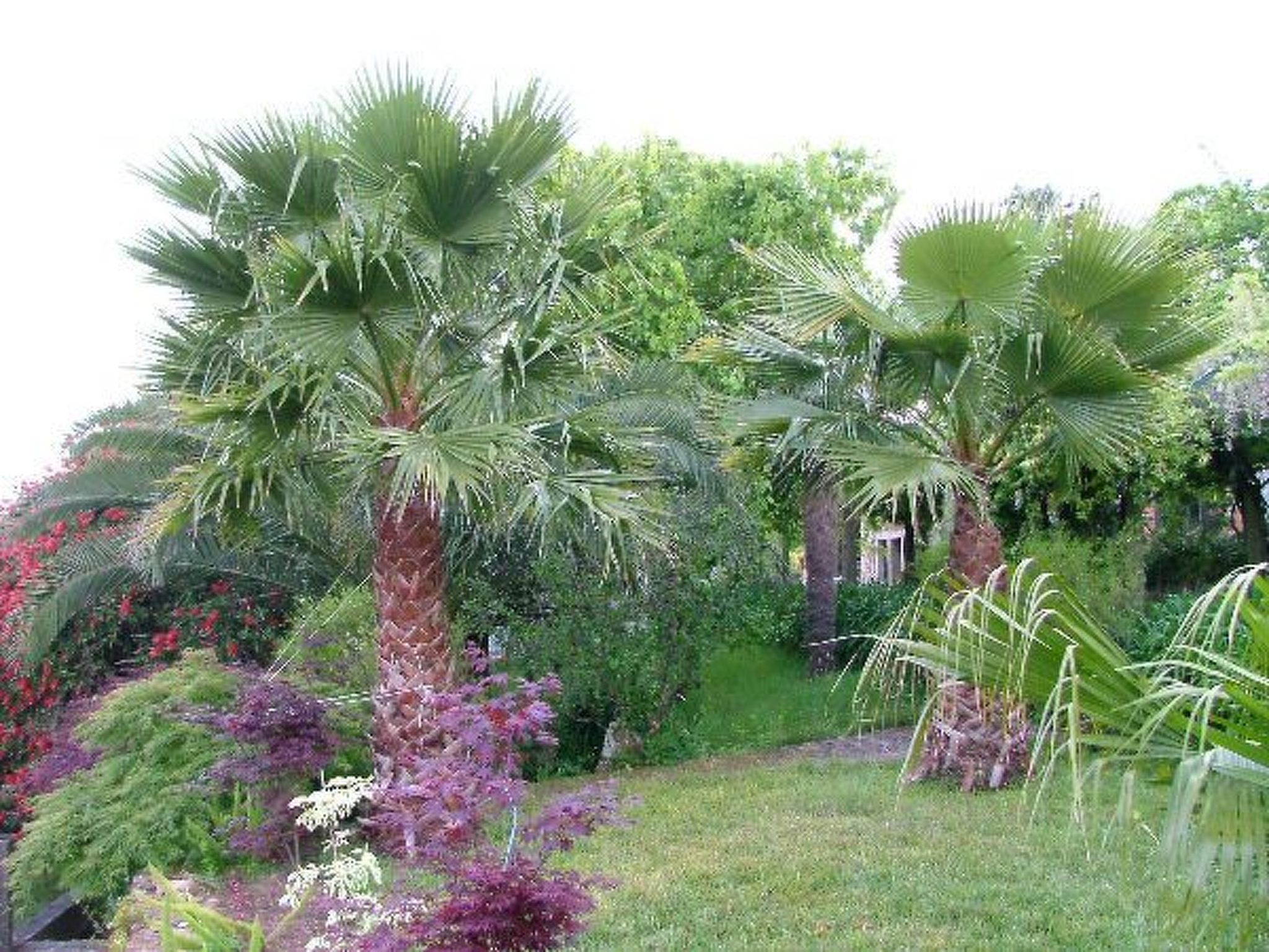 Finca "Quinta do Bento Novo"