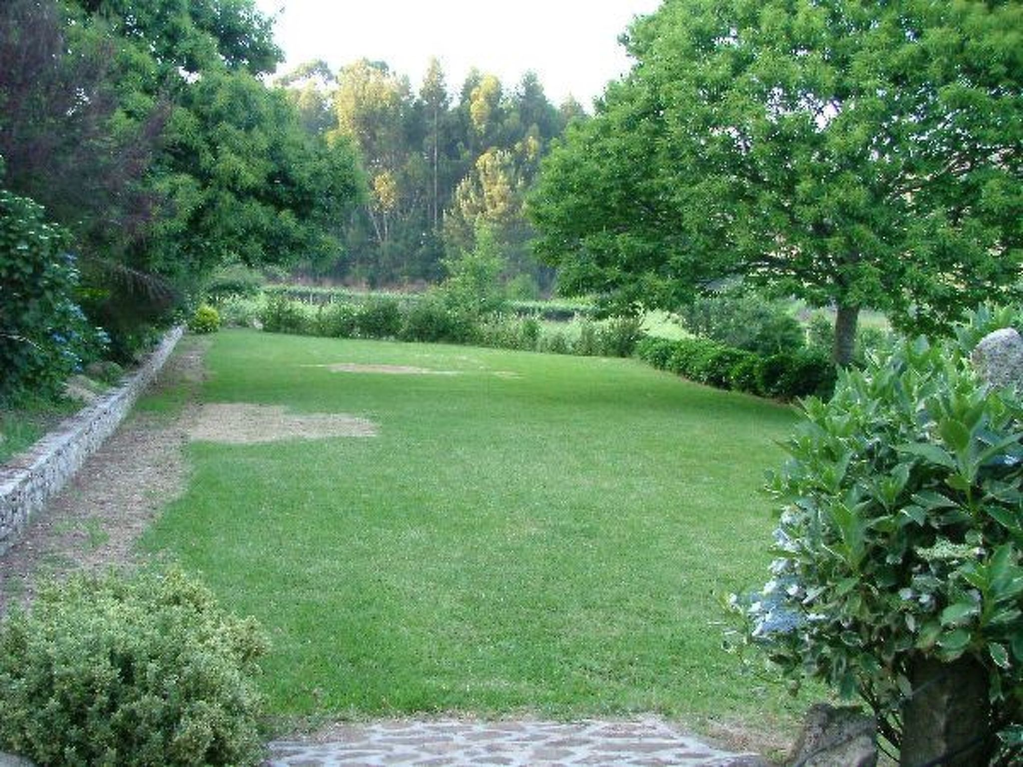 Finca "Quinta do Bento Novo"-Binnen