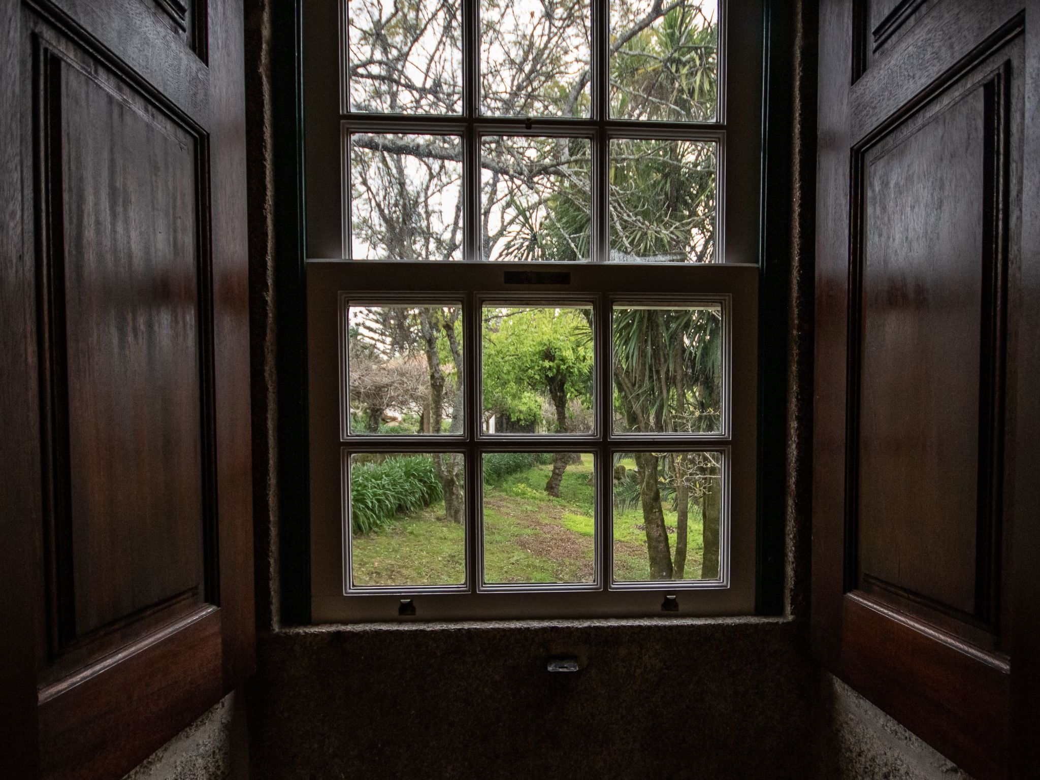 Finca "Quinta do Bento Novo"-Binnen