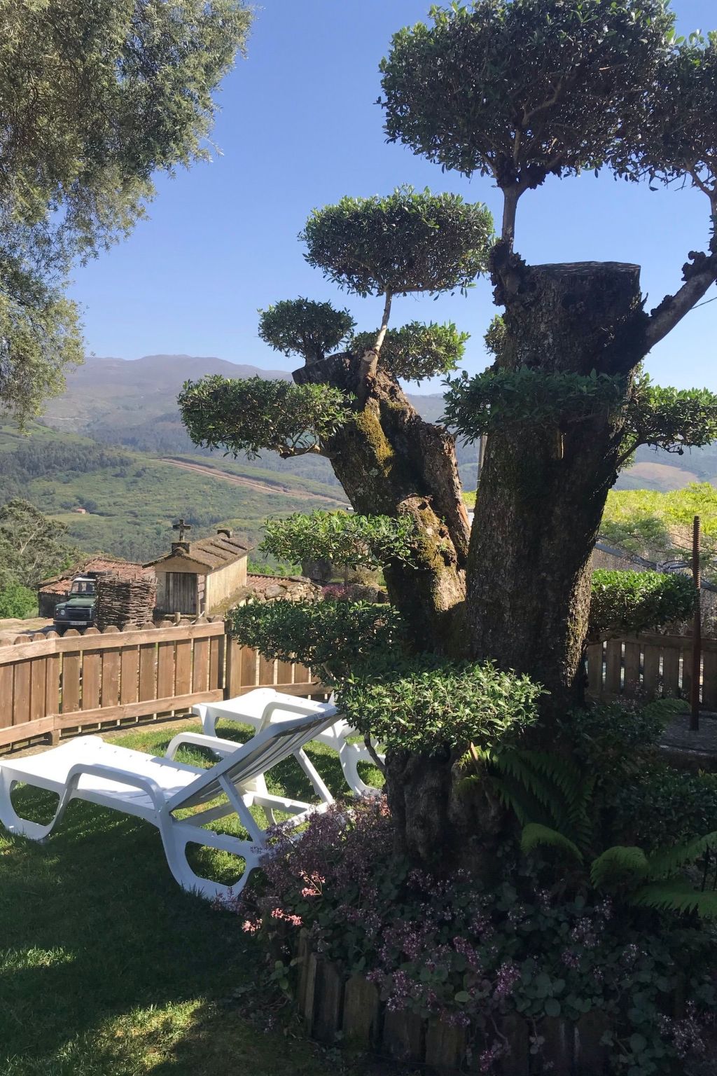 Casas das Olas 6 - Großartige Aussicht, 2 Pools, idealer Ort zum Entspannen und-Image-tags.info