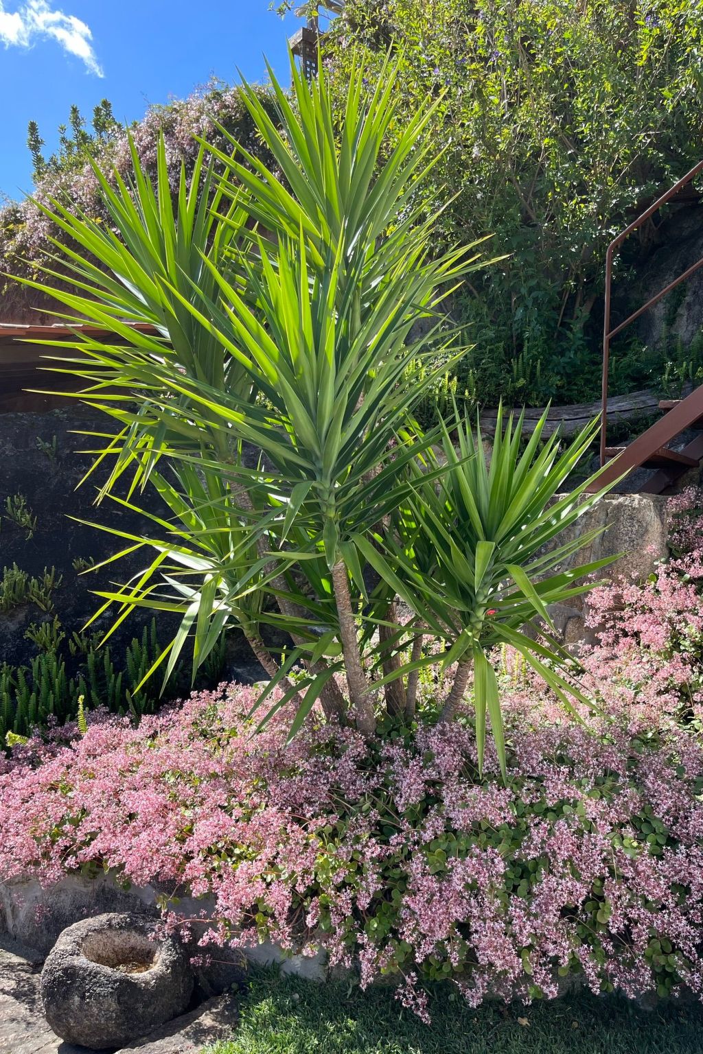 Casas das Olas 1 - Großartige Aussicht, 2 Pools, idealer Ort zum Entspannen und-Binnen