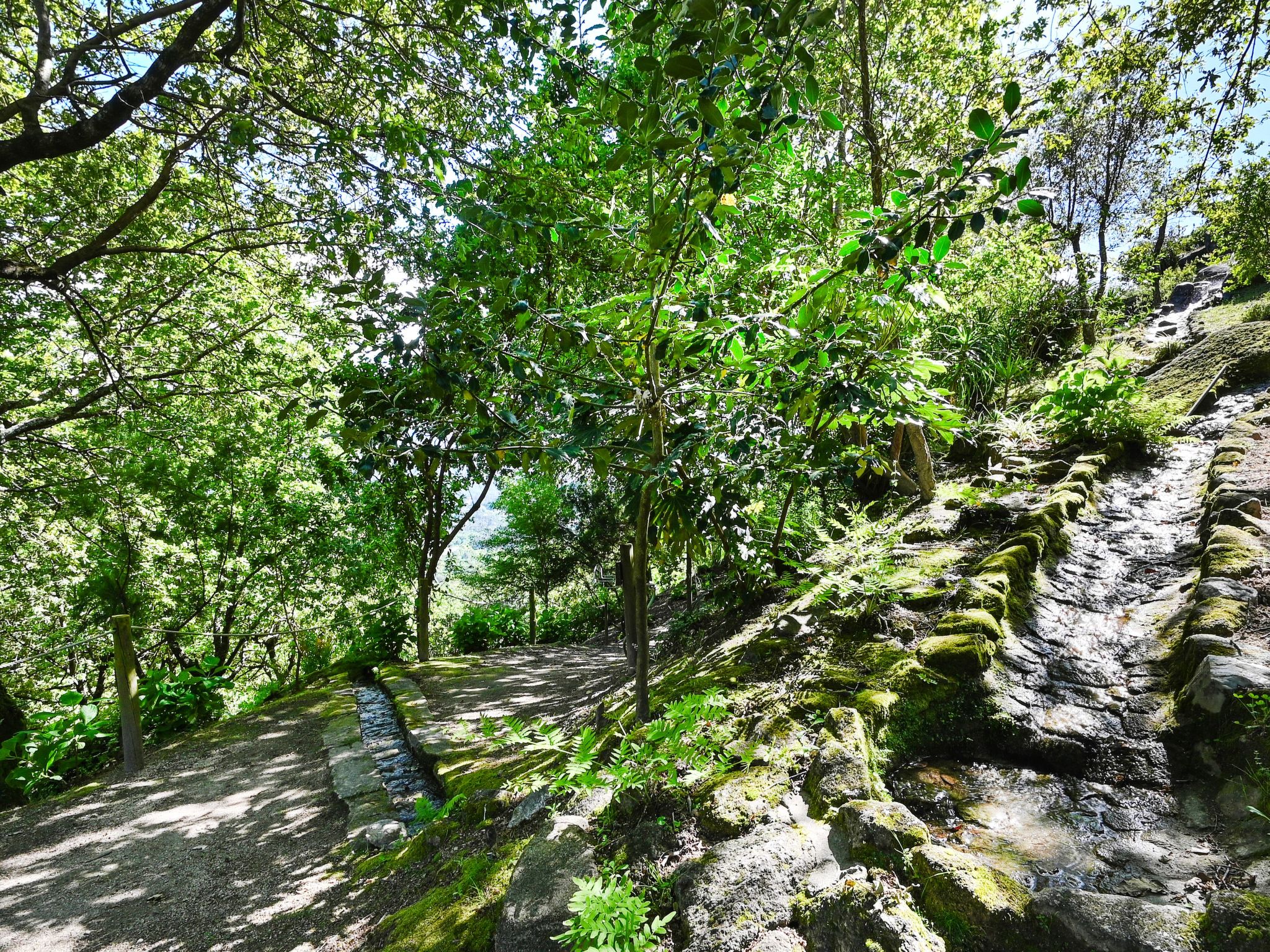 Casas das Olas 1 - Großartige Aussicht, 2 Pools, idealer Ort zum Entspannen und-Binnen