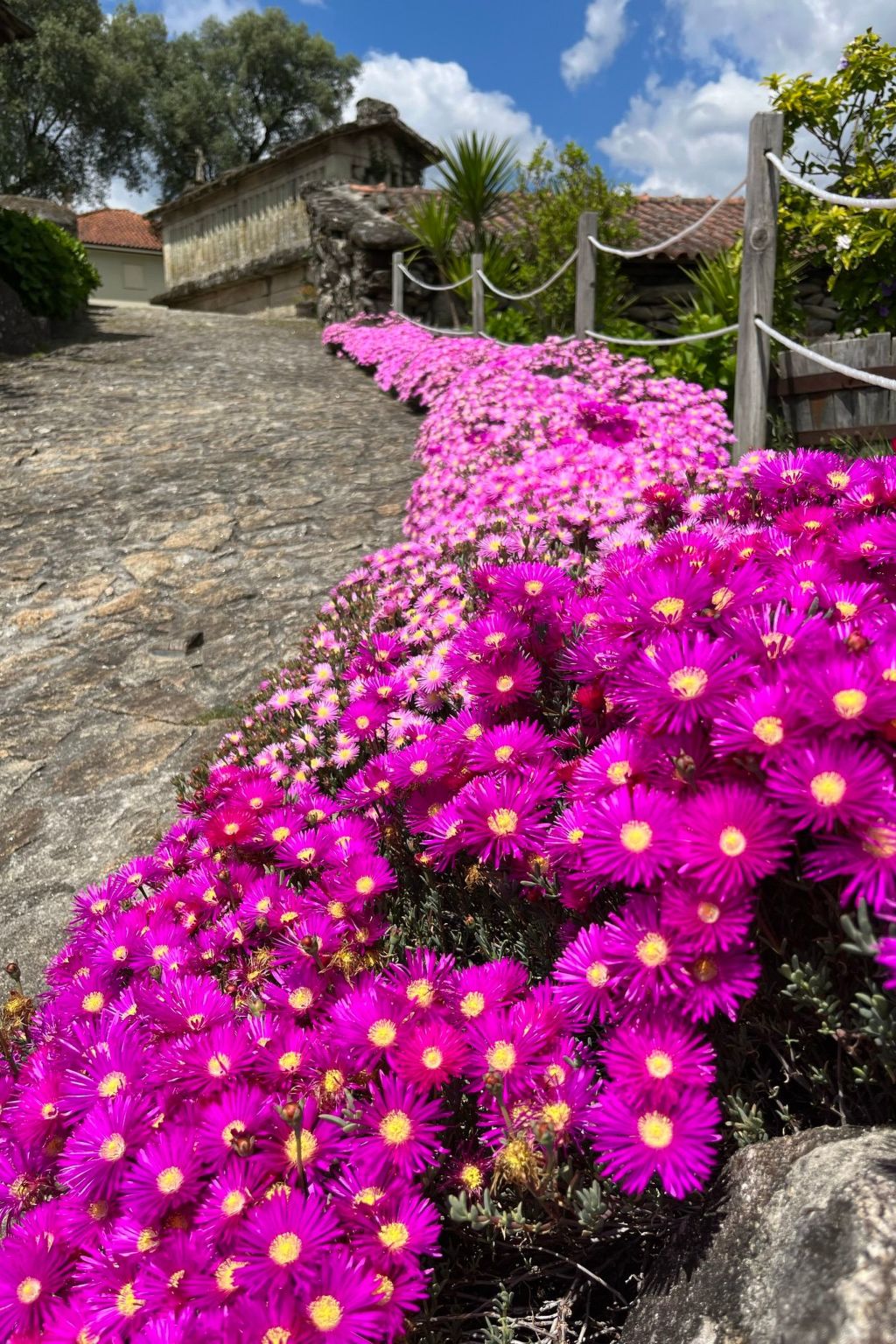 Casas das Olas 1 - Großartige Aussicht, 2 Pools, idealer Ort zum Entspannen und-Binnen
