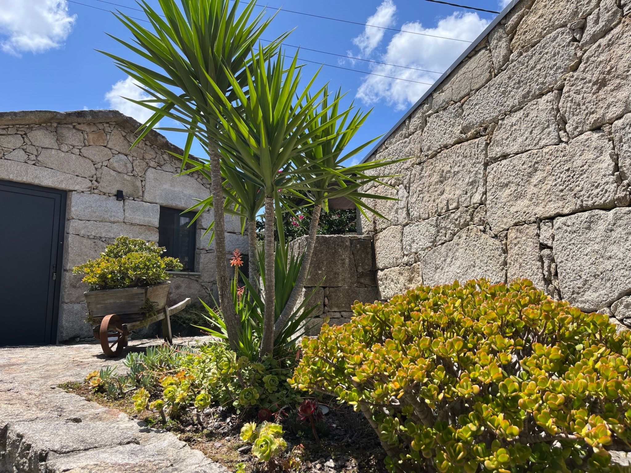 Casas das Olas 7 - Großartige Aussicht, 2 Pools, idealer Ort zum Entspannen und-Binnen