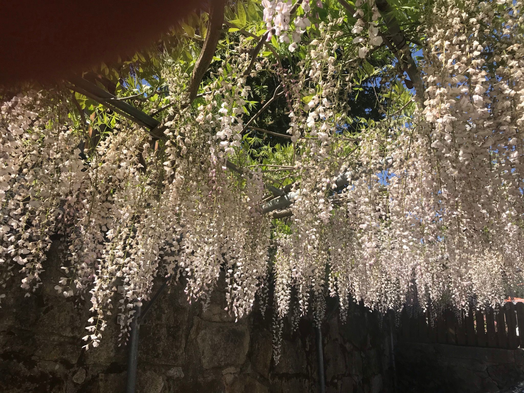 Casas das Olas 7 - Großartige Aussicht, 2 Pools, idealer Ort zum Entspannen und-Binnen