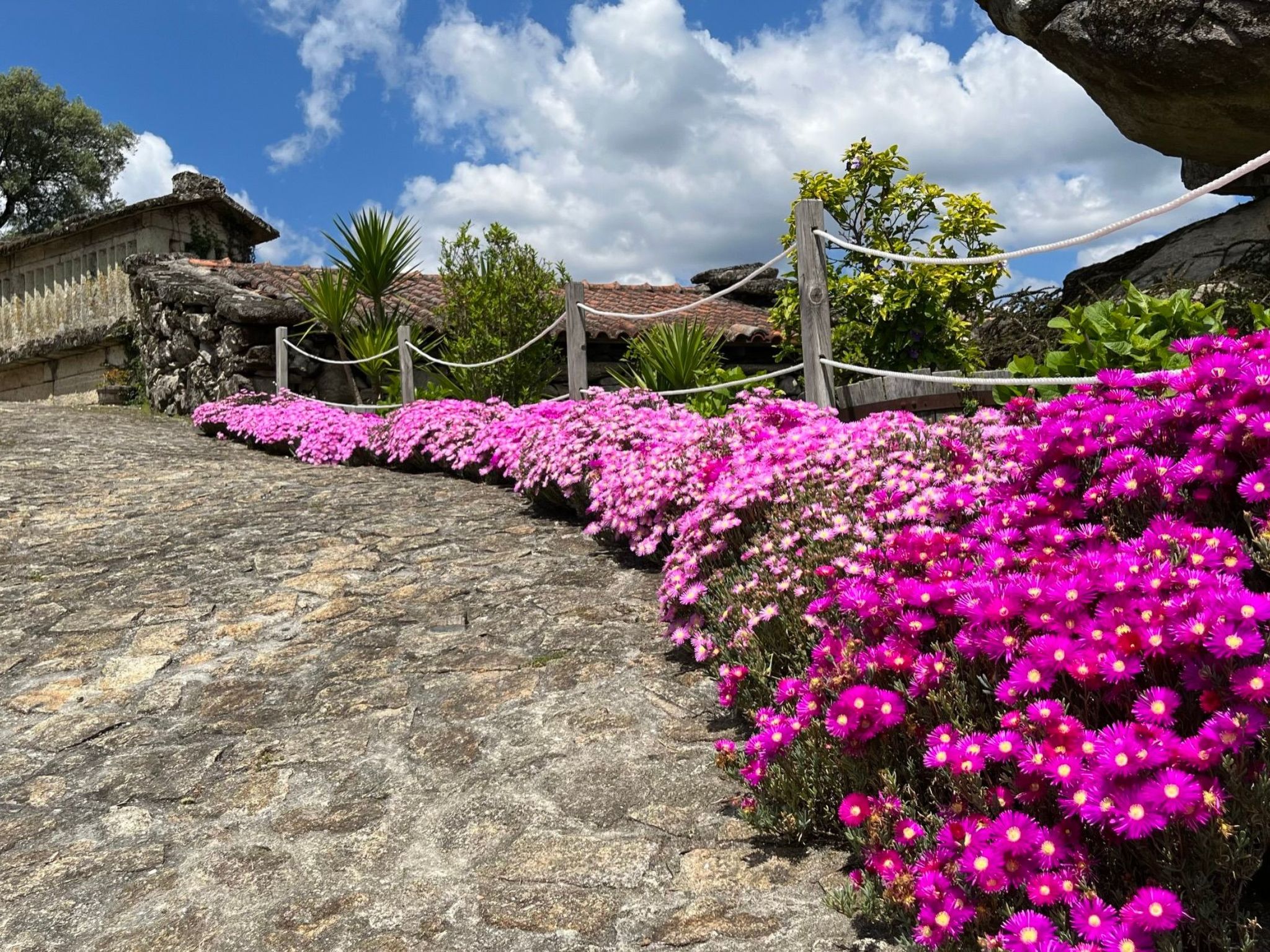 Casas das Olas 7 - Großartige Aussicht, 2 Pools, idealer Ort zum Entspannen und