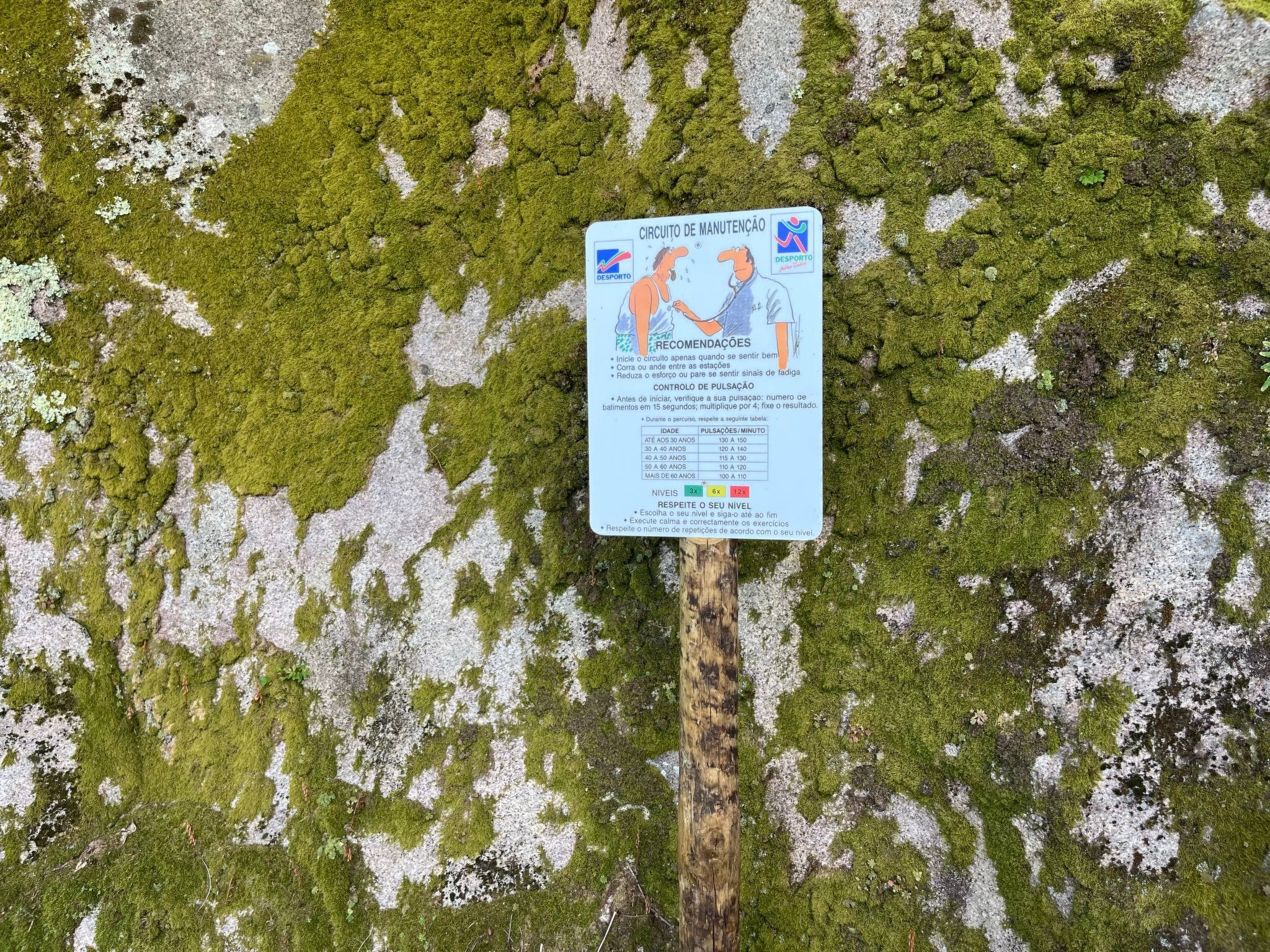 Casas das Olas 3 - Großartige Aussicht, 2 Pools, idealer Ort zum Entspannen und-Binnen