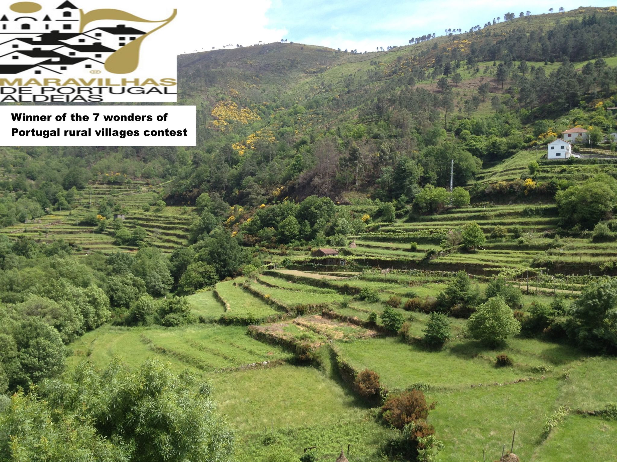"Großmutters Häuschen" mit überdachter Terrasse-Binnen
