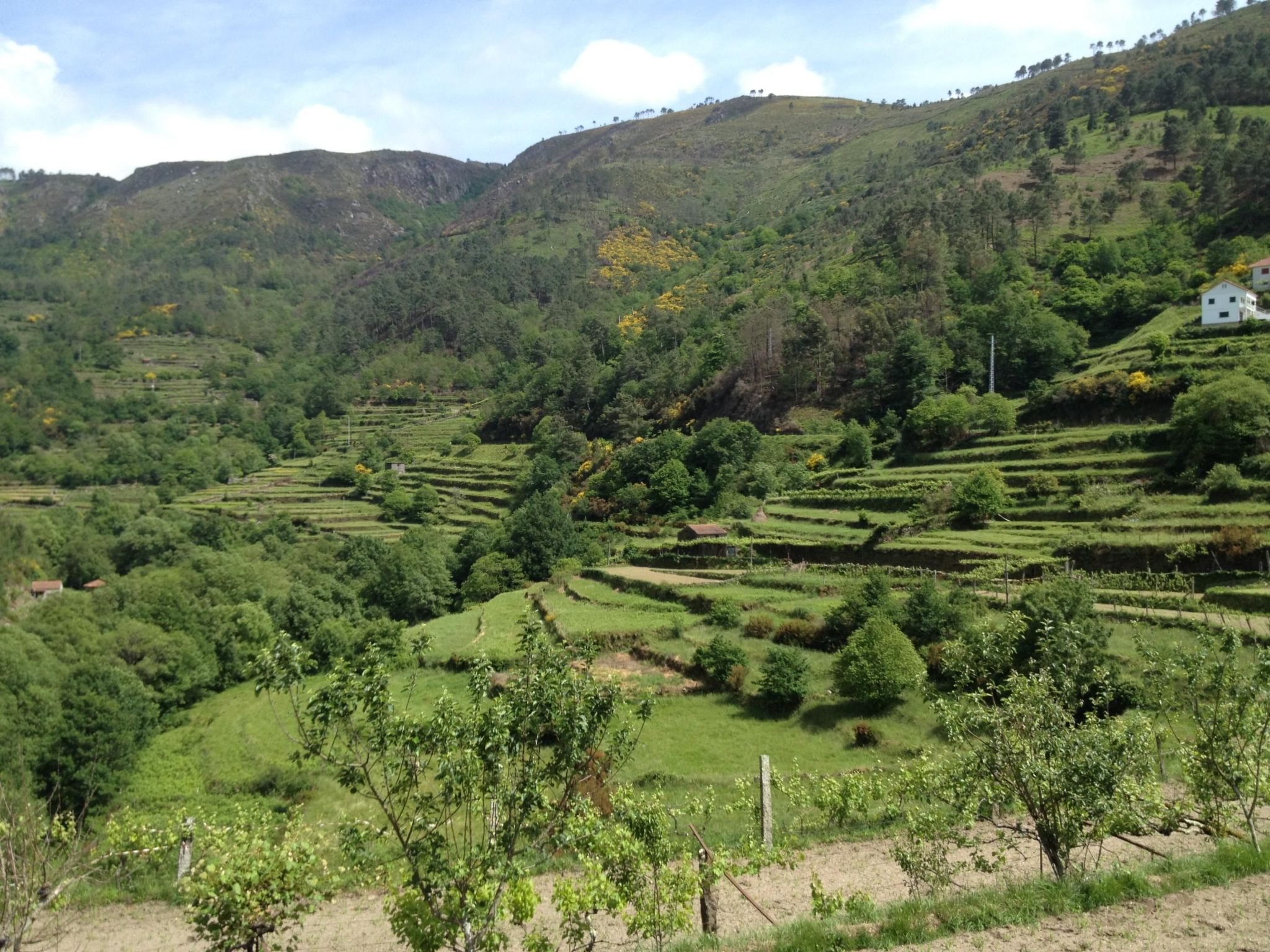 "Großmutters Häuschen" mit überdachter Terrasse-Binnen