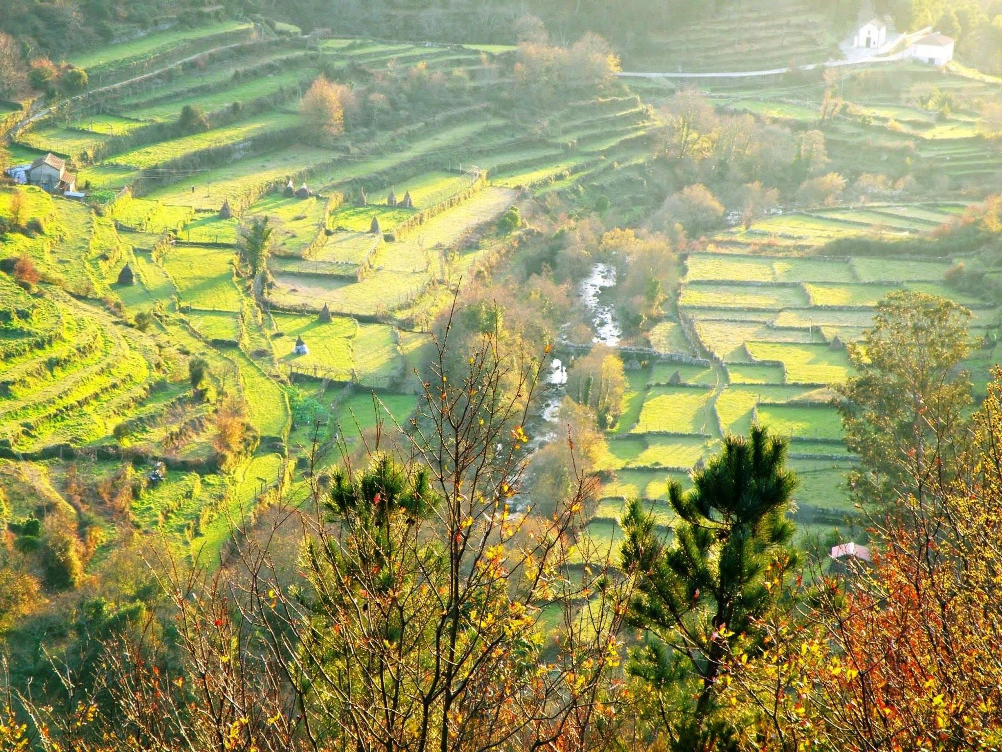 "Großmutters Häuschen" mit überdachter Terrasse-Binnen