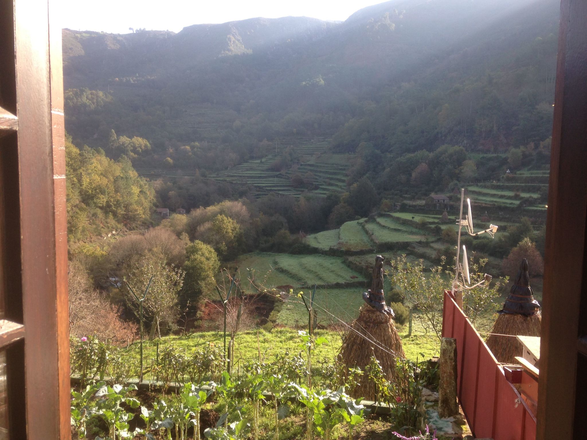 "Großmutters Häuschen" mit überdachter Terrasse-Binnen