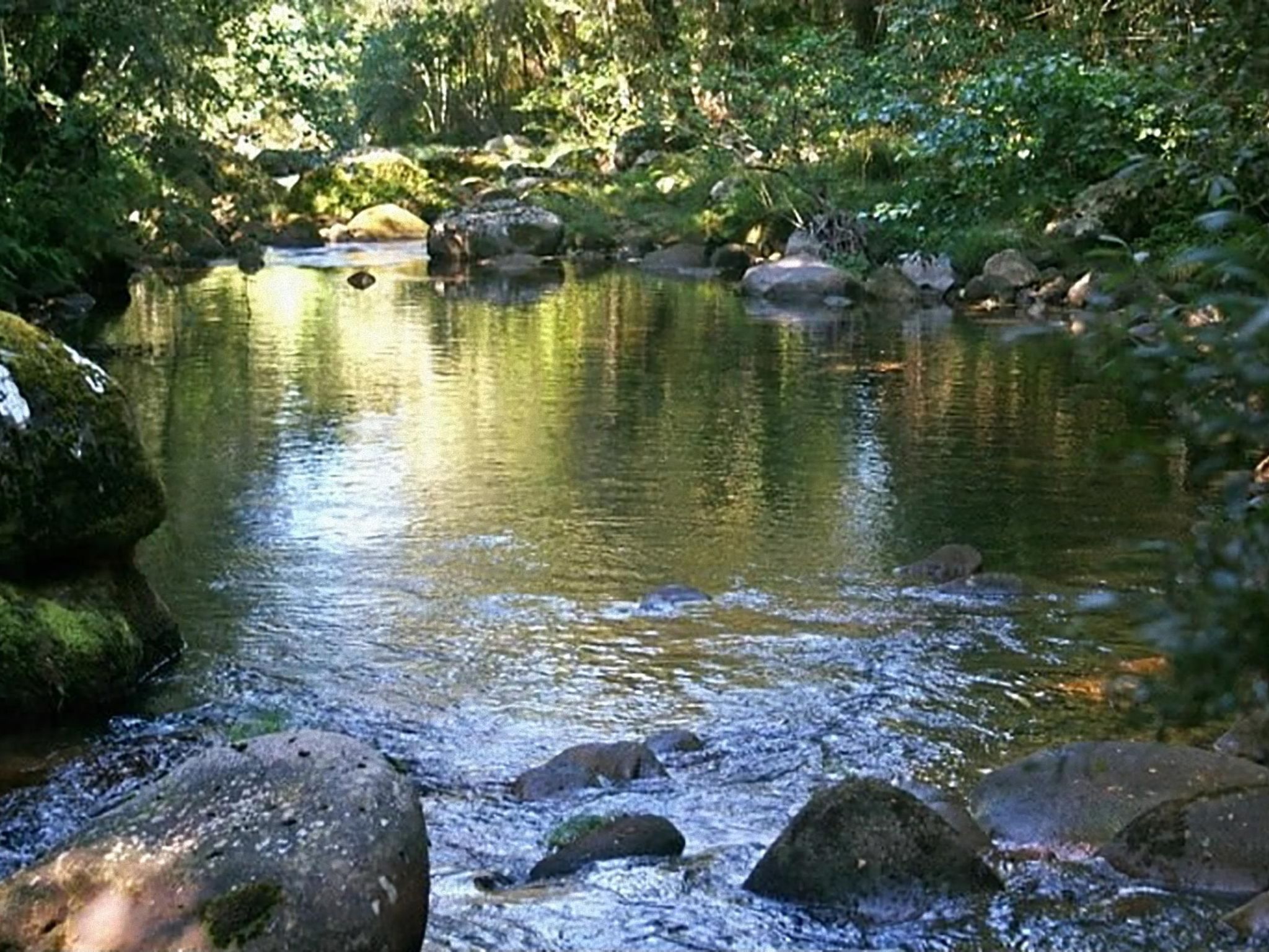 "Großmutters Häuschen" mit überdachter Terrasse-Binnen