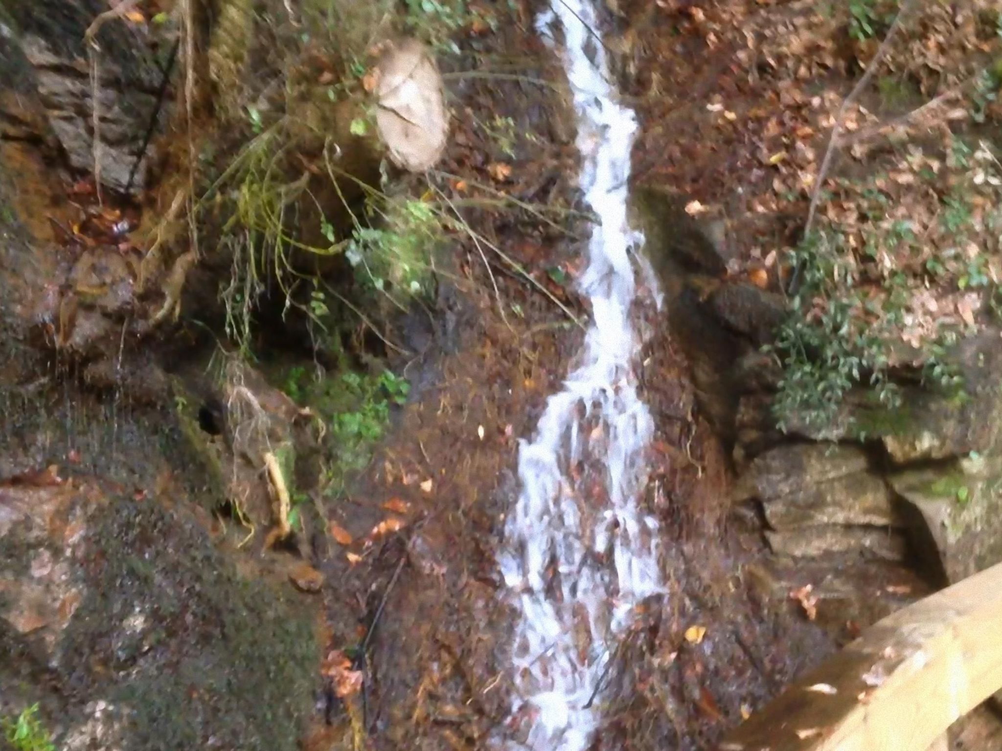 "Großmutters Häuschen" mit überdachter Terrasse-Binnen
