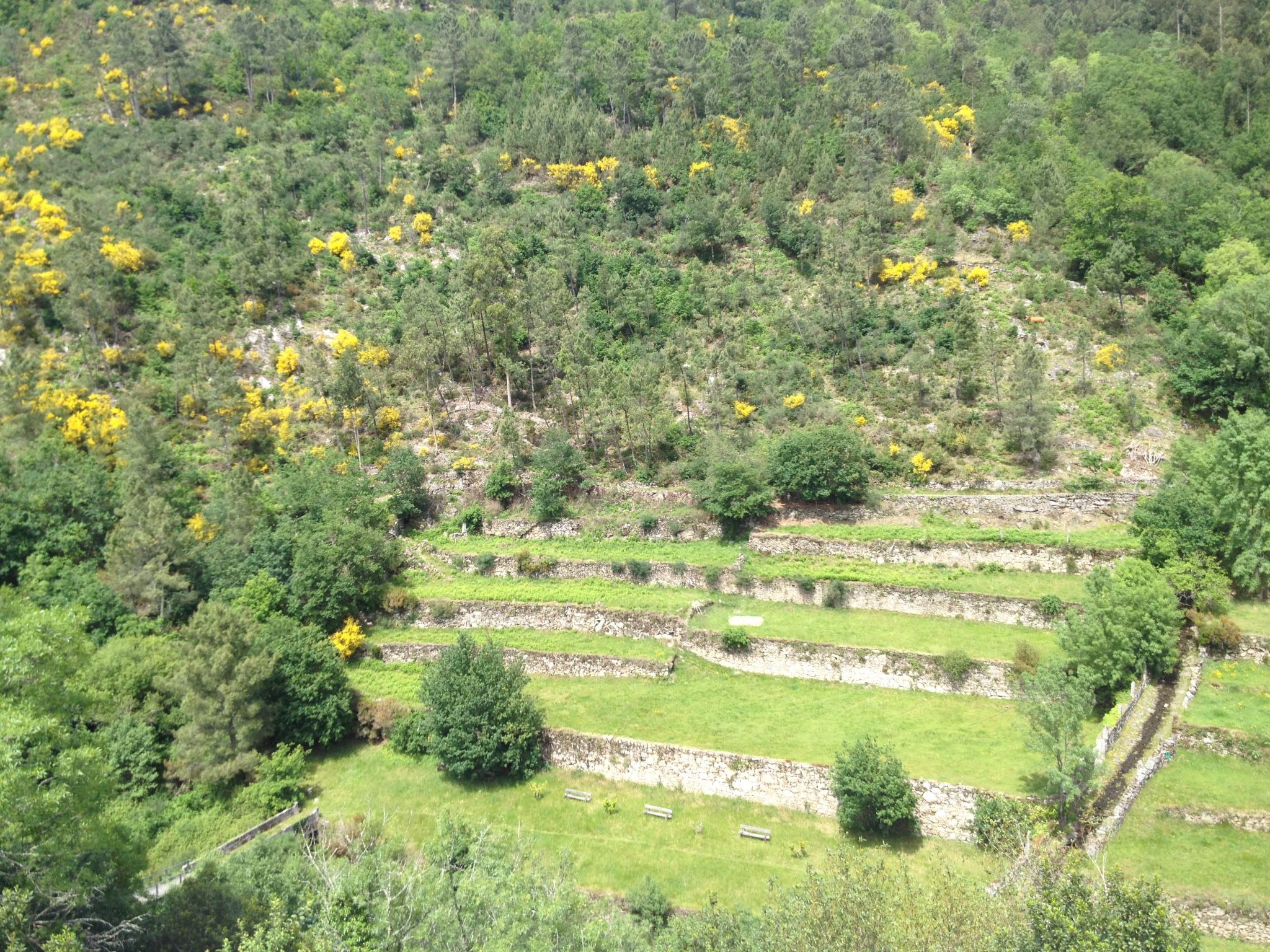 "Großmutters Häuschen" mit überdachter Terrasse-Binnen