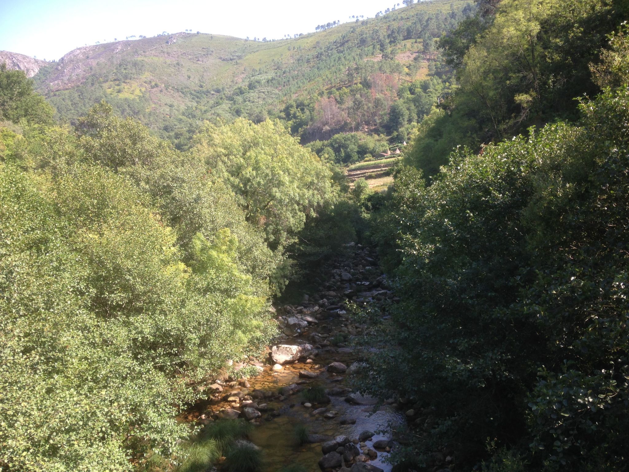 "Großmutters Häuschen" mit überdachter Terrasse-Binnen