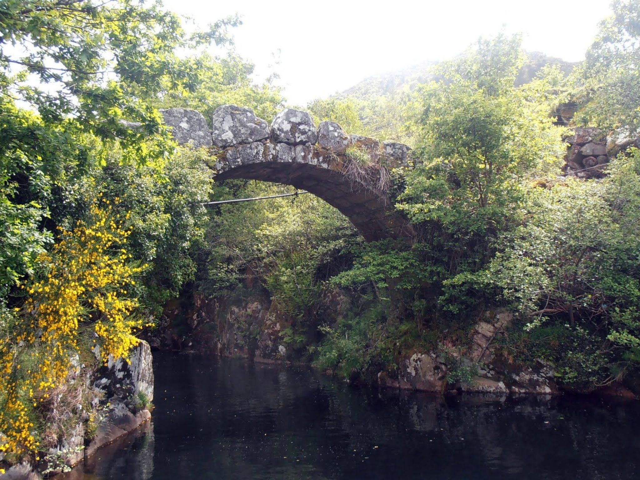 "Großmutters Häuschen" mit überdachter Terrasse-Binnen