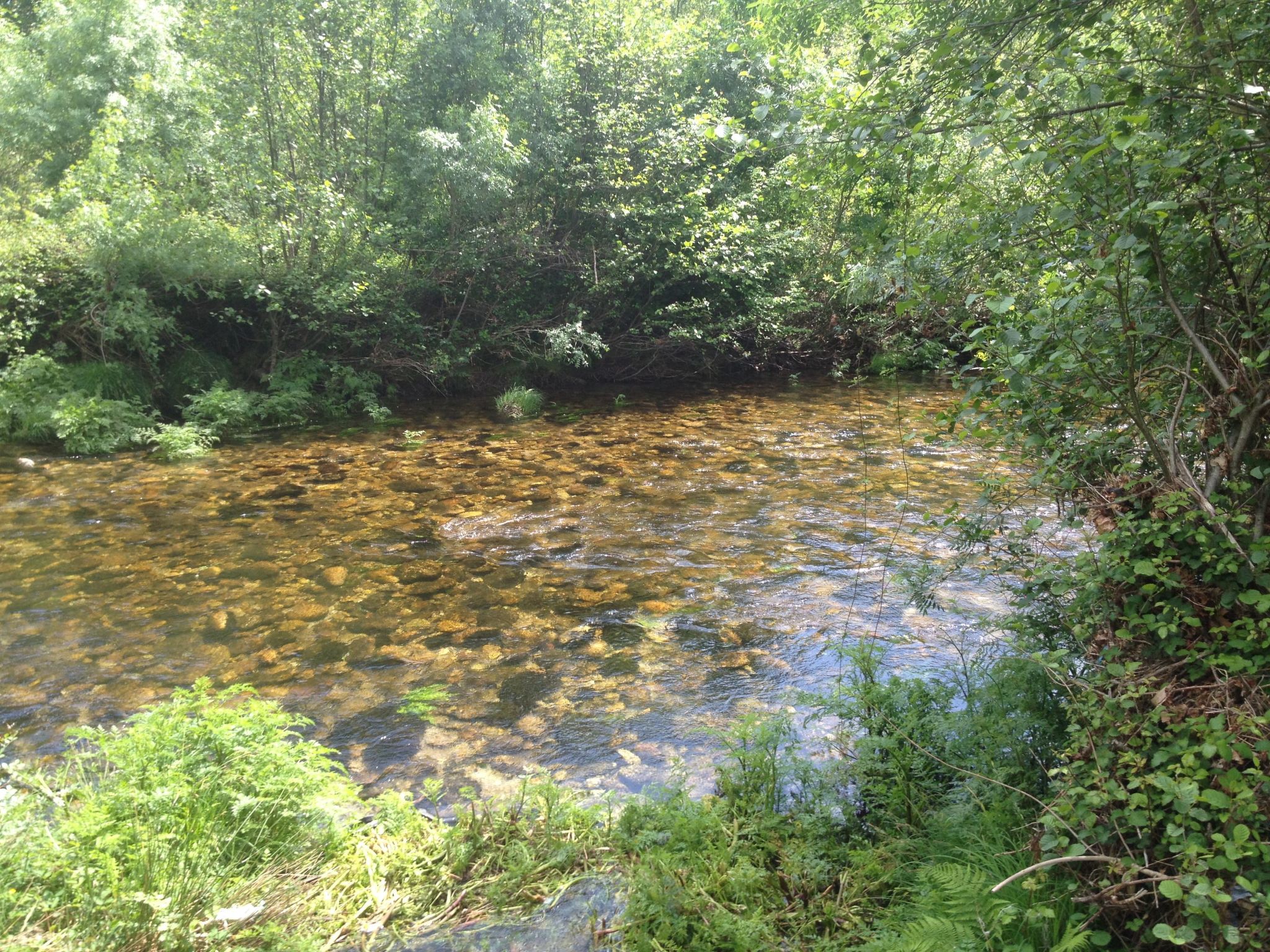 "Großmutters Häuschen" mit überdachter Terrasse-Binnen
